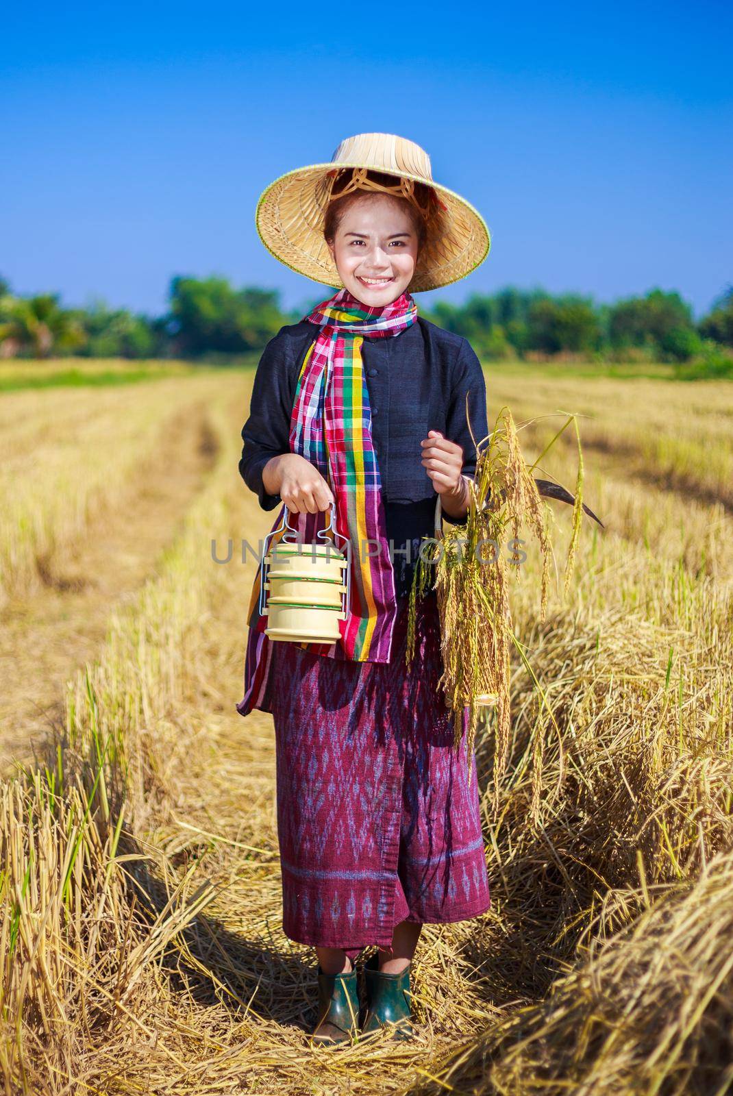 farmer woman with tiffin carrier in rice field by geargodz