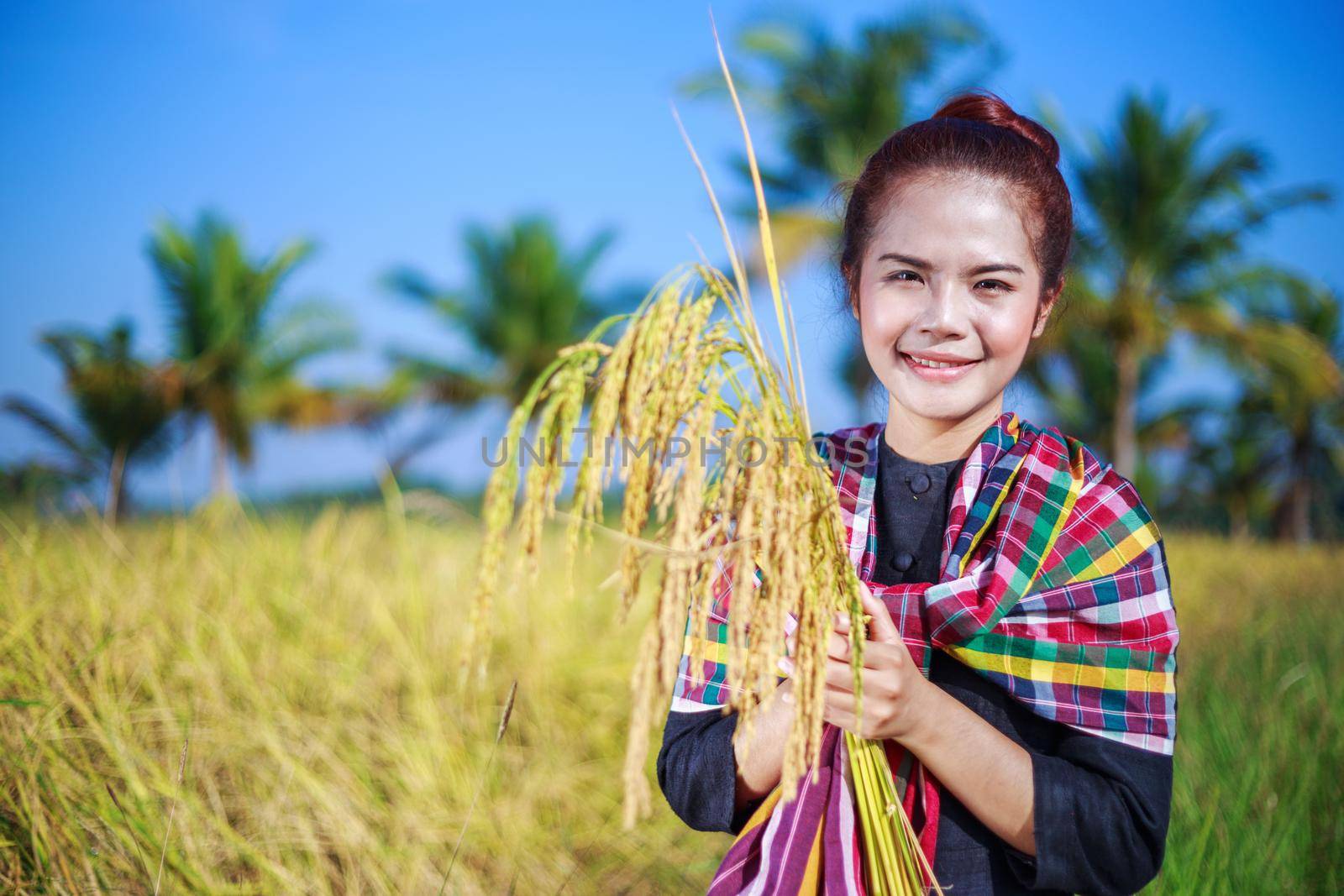 farmer woman holding rice in field, Thailand