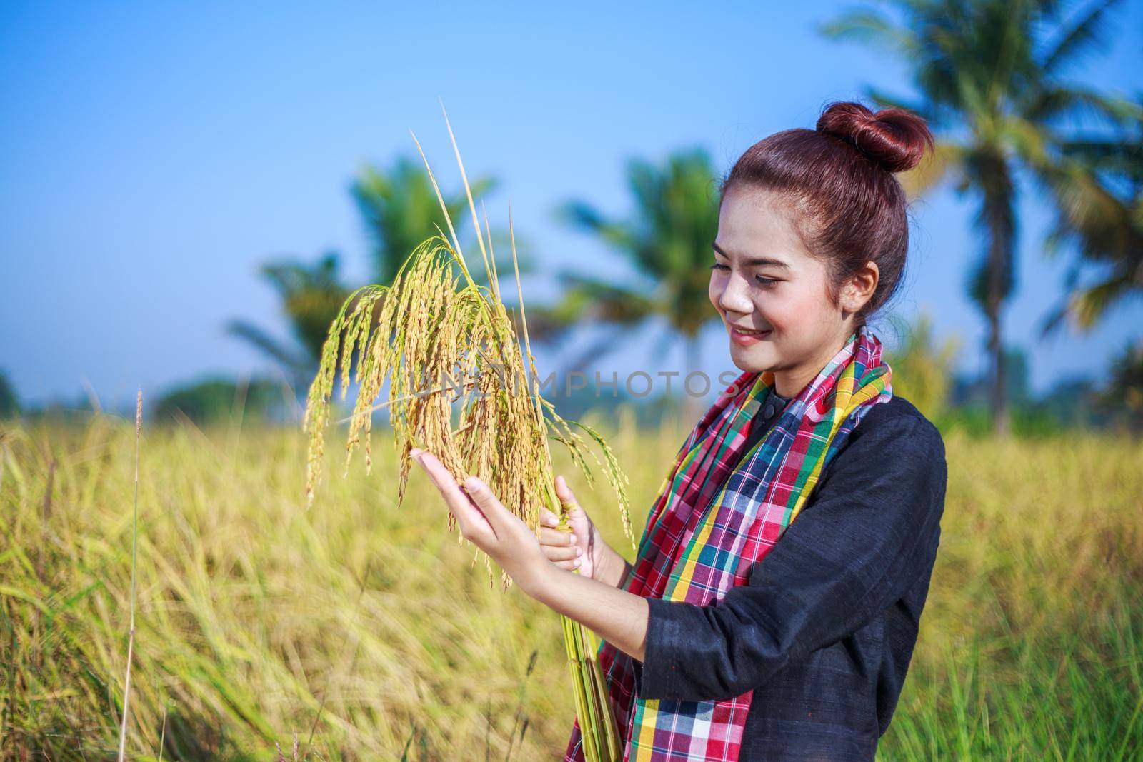 farmer woman holding rice in field by geargodz