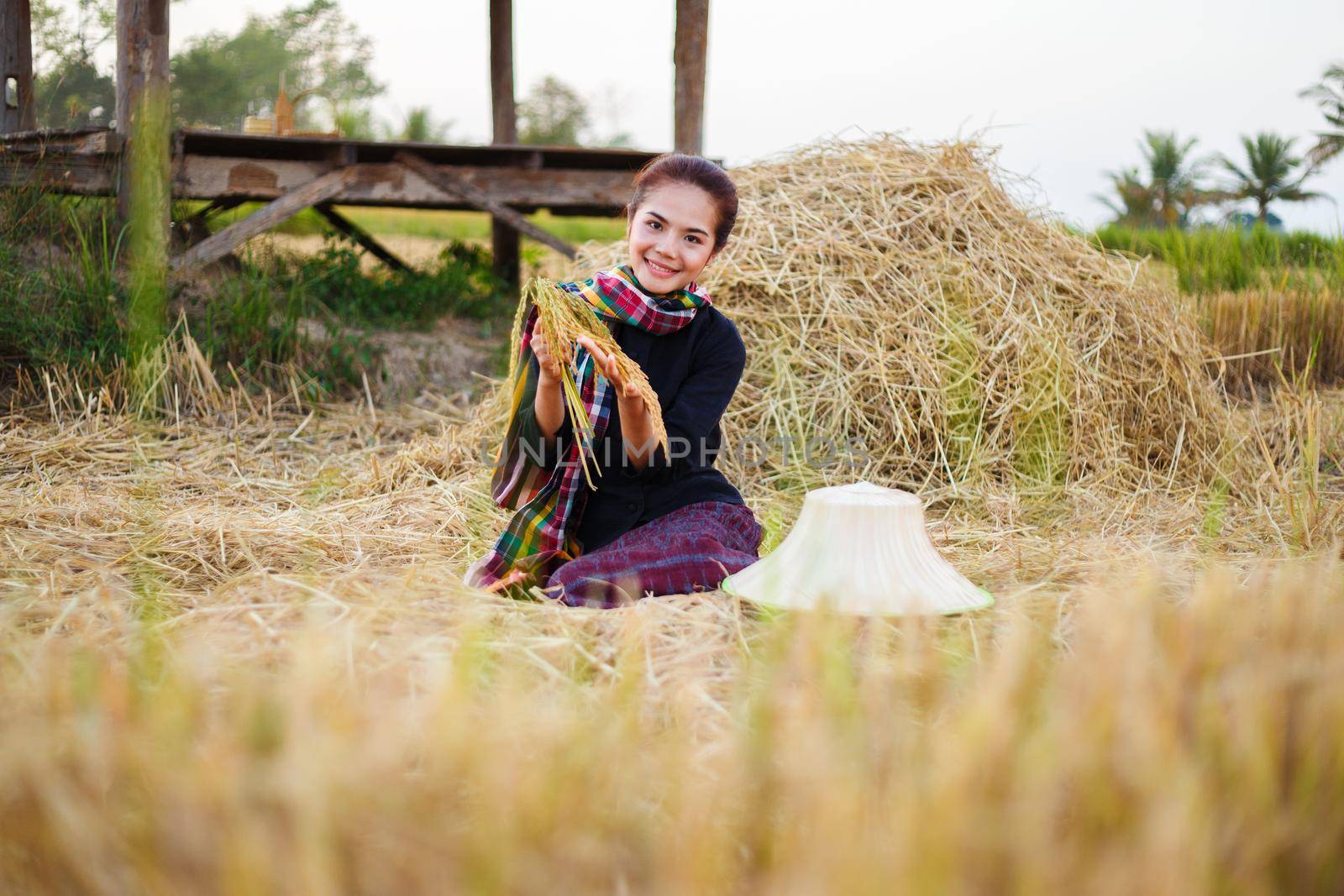 farmer woman holding a rice with the straw in field by geargodz