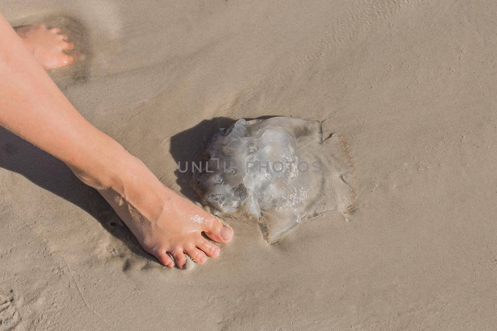 The girl's foot stands next to a jellyfish on the sand of the sea beach.