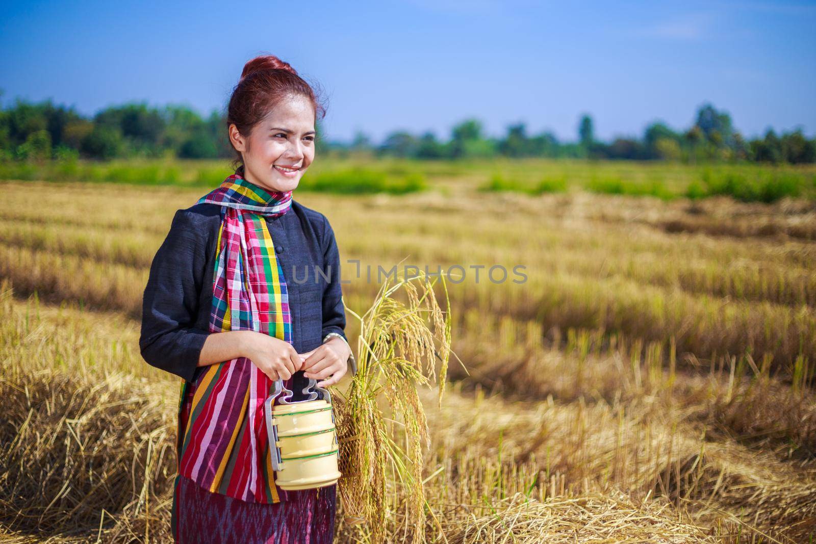 farmer woman with tiffin carrier in rice field, Thailand