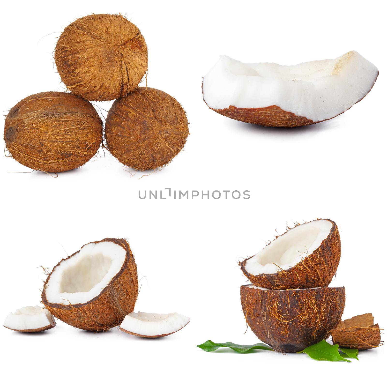 Collage of broken coconut pieces isolated on white background by Fabrikasimf