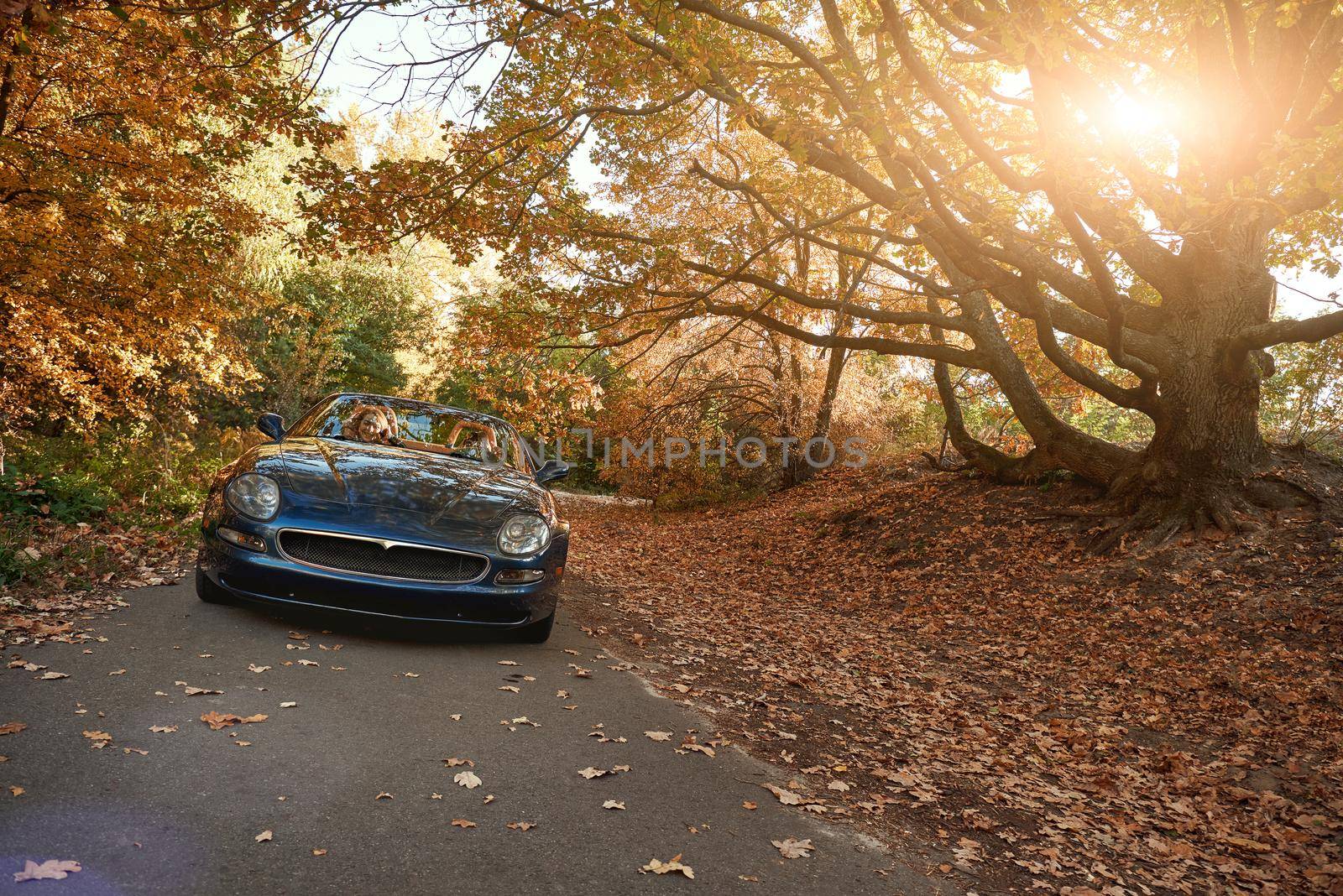 A black roofless car driving fast on the asphalt with a beautiful sunrise by friendsstock