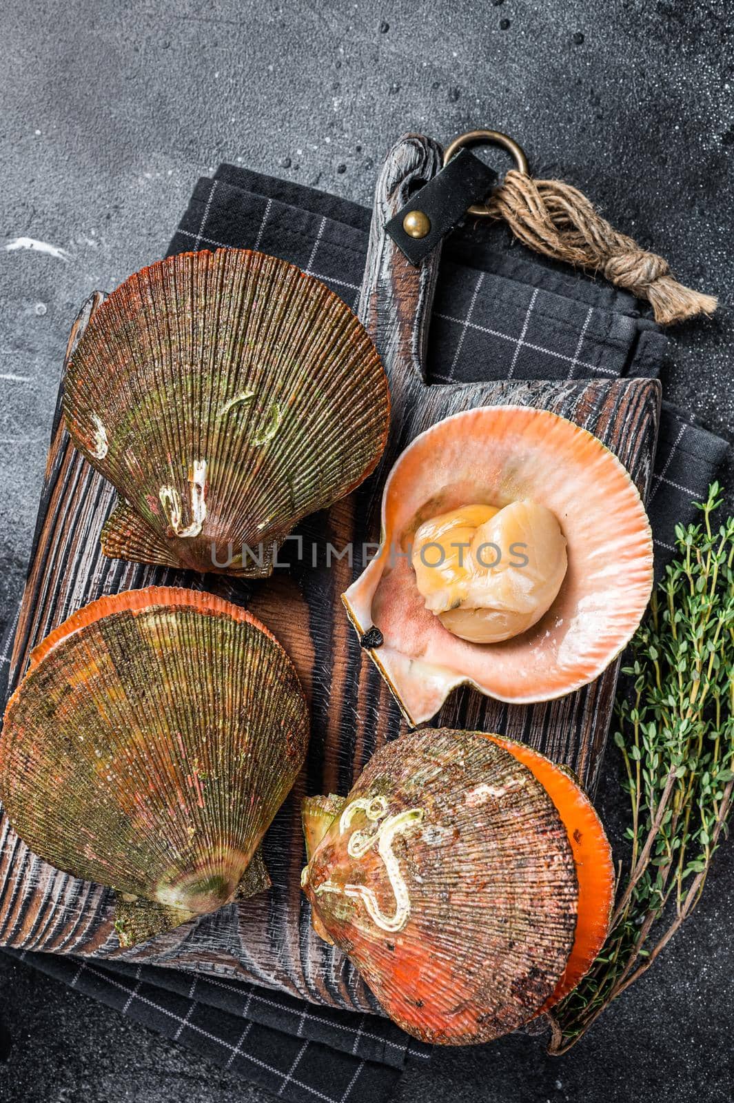 Uncooked Raw Queen Scallops on a wooden board. Black background. Top view.