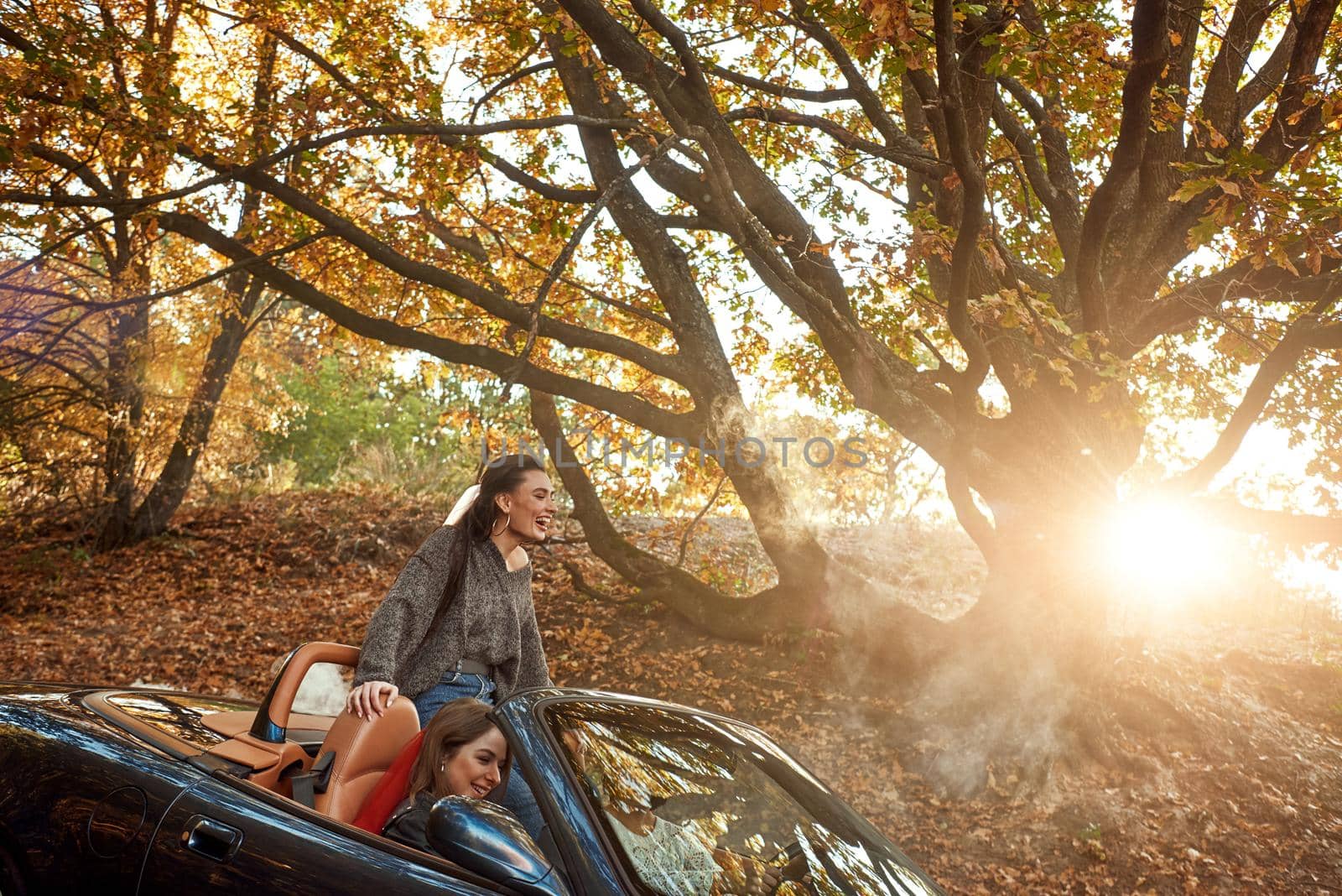 Portrait of three pretty young women driving on road trip on beautiful autumn day.