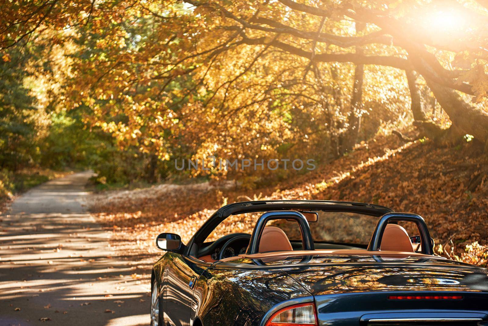 A black roofless car driving fast on the countryside asphalt road against morning sky with a beautiful sunrise. Autumn season, falling leaves