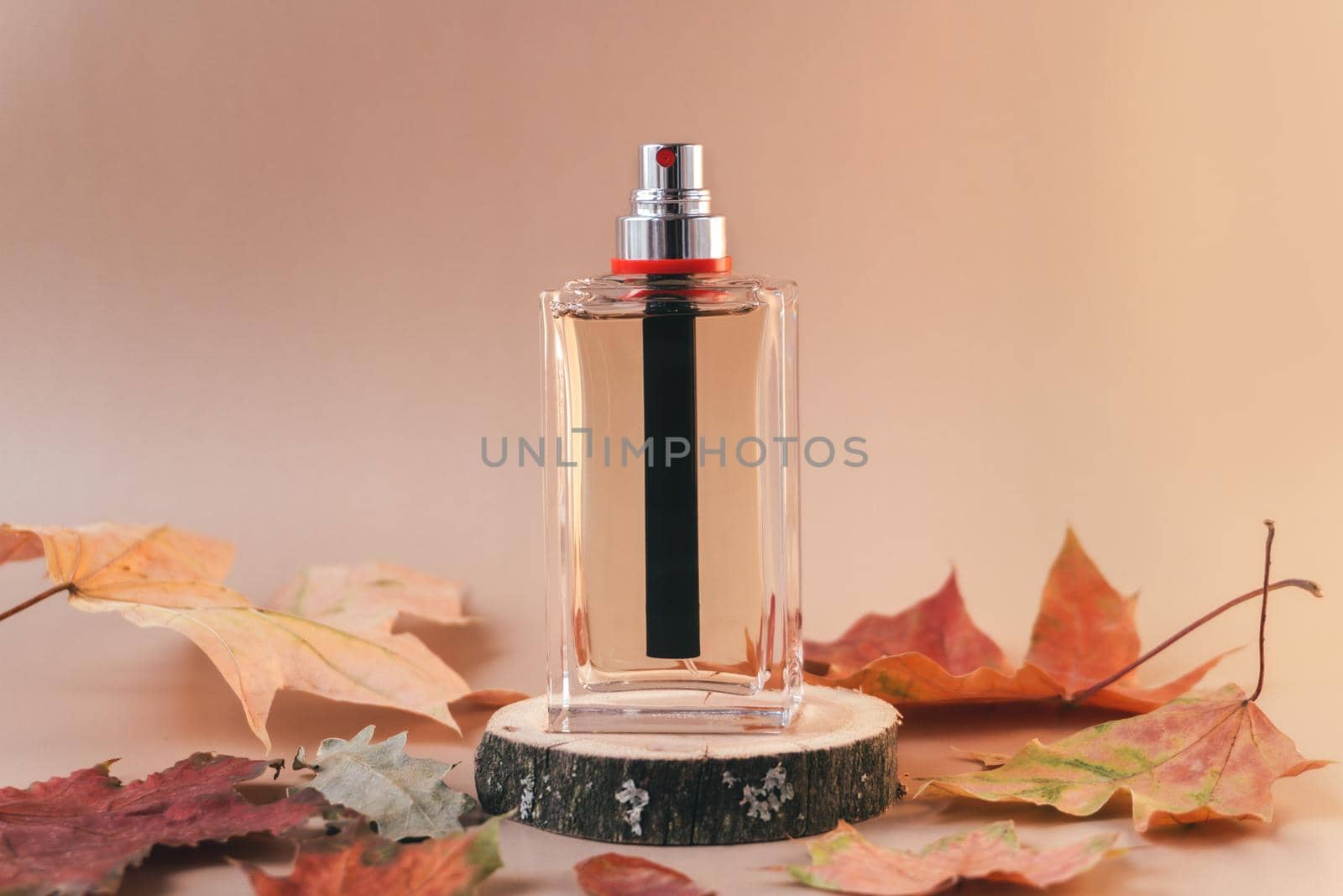 Transparent glass perfume bottle on wooden podium with yellow leaves on soft beige background. Cosmetics or product presentation natural Autumn concept. Parfumery in a front view