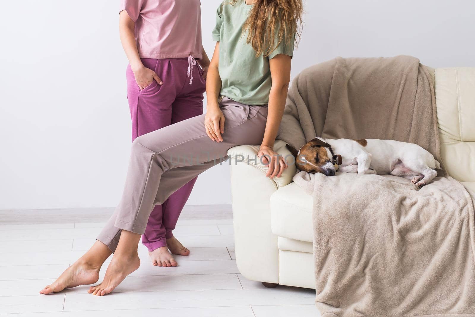 Two female friends or sisters at home with their cute dog close-up. Quarantine, isolation, coronavirus pandemic world. Stay at home. by Satura86