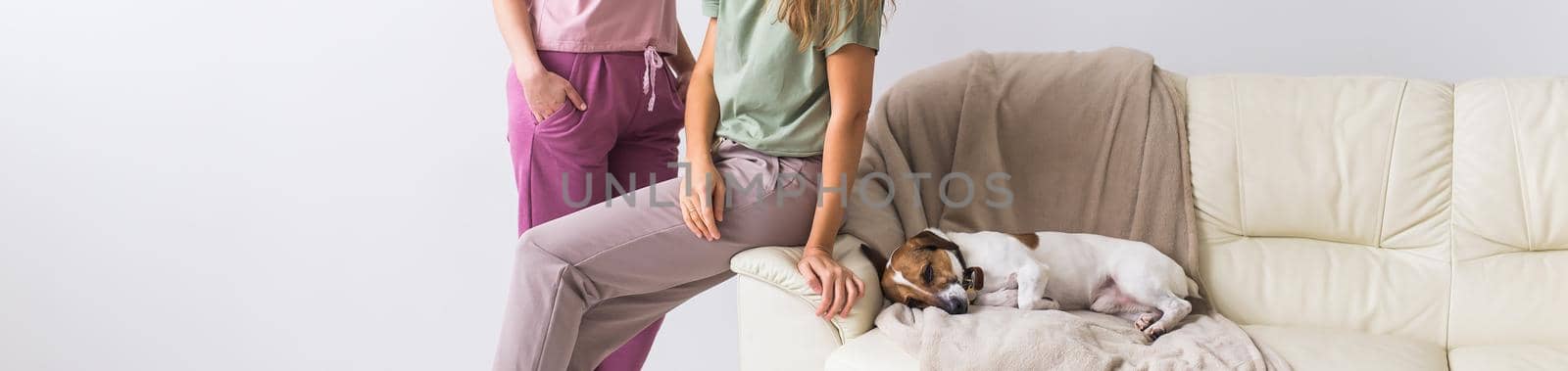 Two female friends or sisters at home with their cute dog close-up. Quarantine, isolation, coronavirus pandemic world. Stay at home. by Satura86