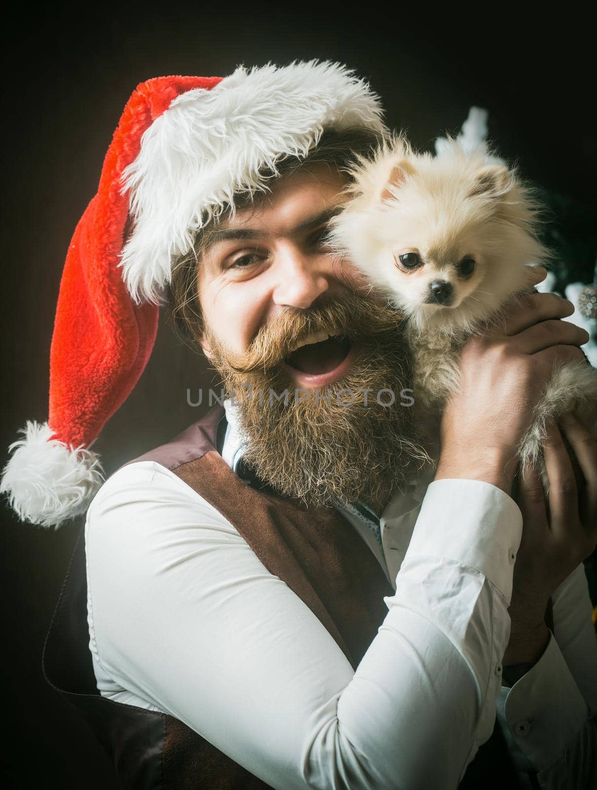 Santa man and pet. New year of dog, funny excited guy hold puppy. Dog year winter holiday and xmas. Pomeranian Spitz. by Tverdokhlib