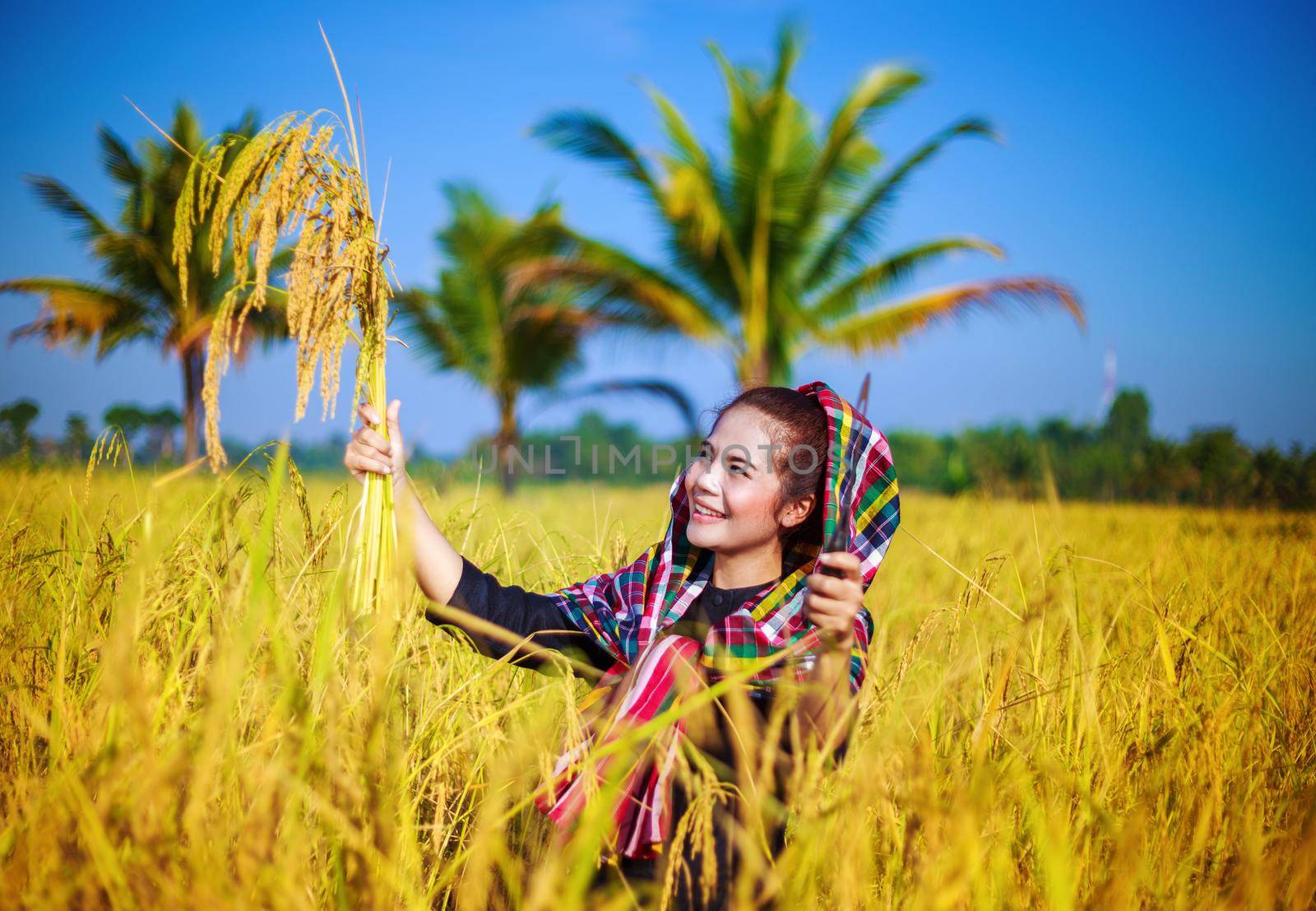happy farmer woman in rice field, Thailand