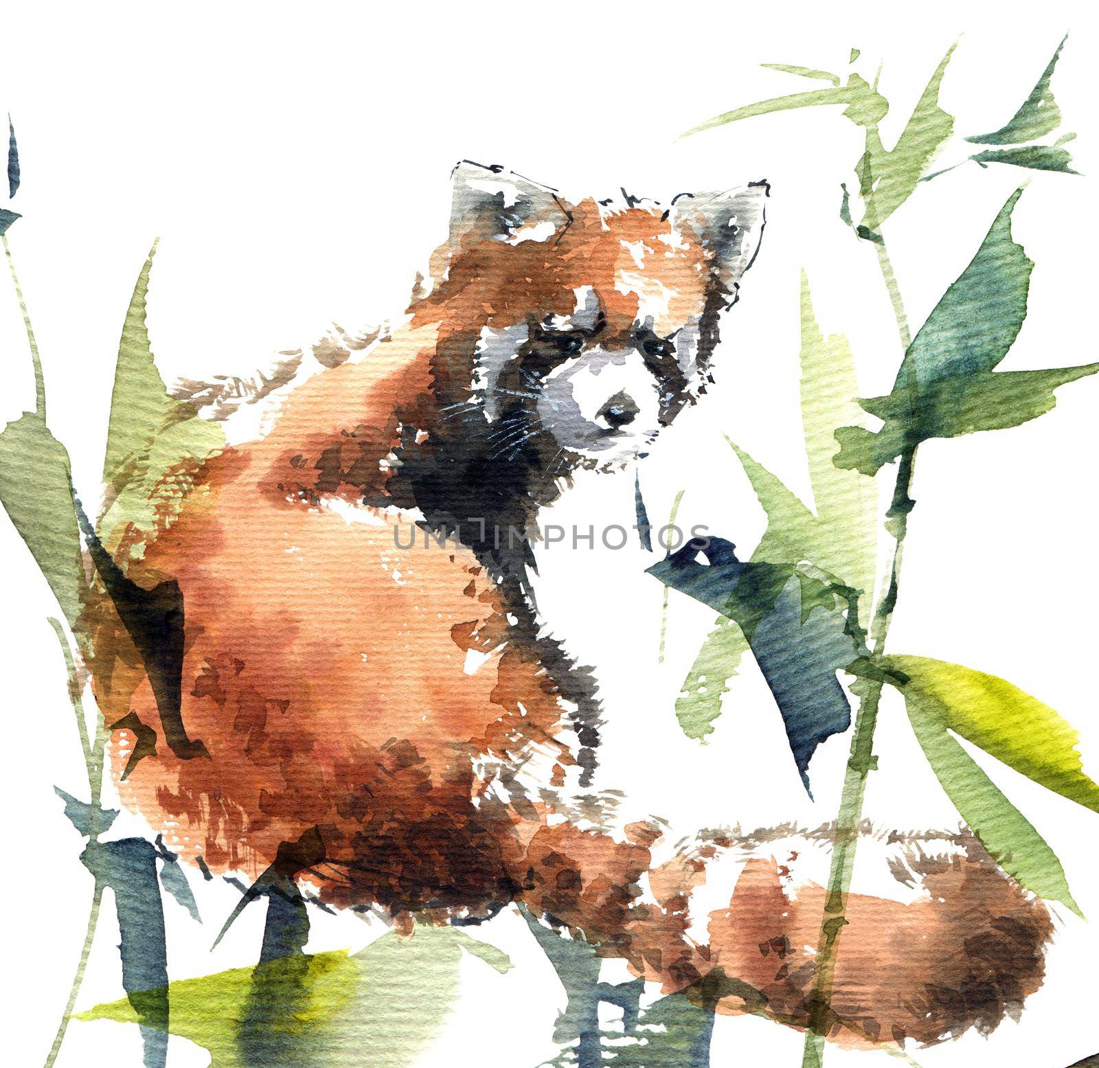 Watercolor illustration of little panda among bamboo thickets. Artistic painting.