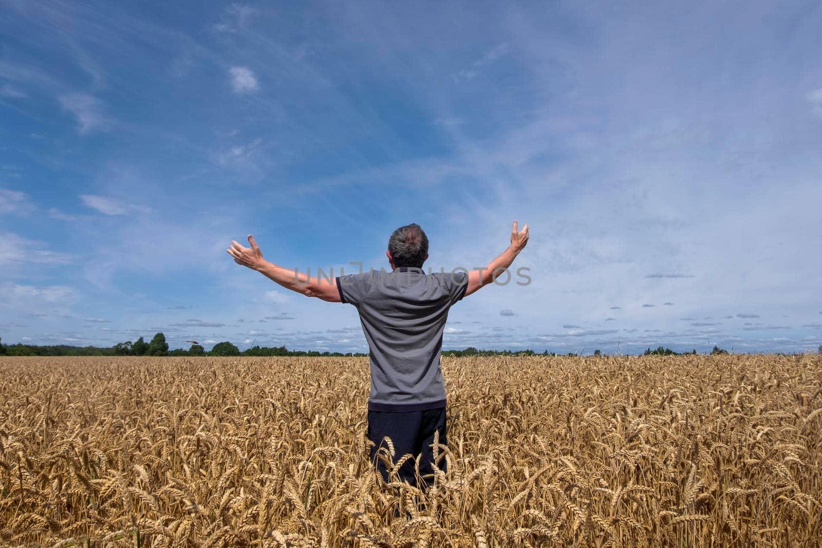 A man in farm field among ripe cereals and raised his arms by OlgaGubskaya