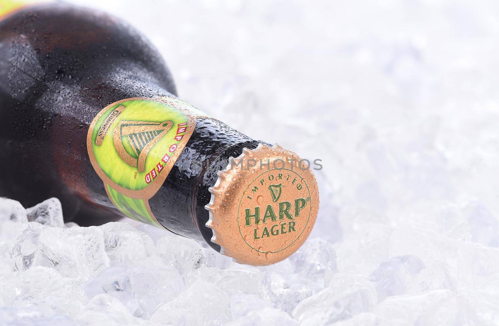 IRVINE, CA - AUGUST 26, 2016: Closeup of a single bottle of Harp Lager on a bed of ice. Harp is an Irish lager created in 1960 by the Guinness Brewing Co., brewed with water from the Cooley Mountains