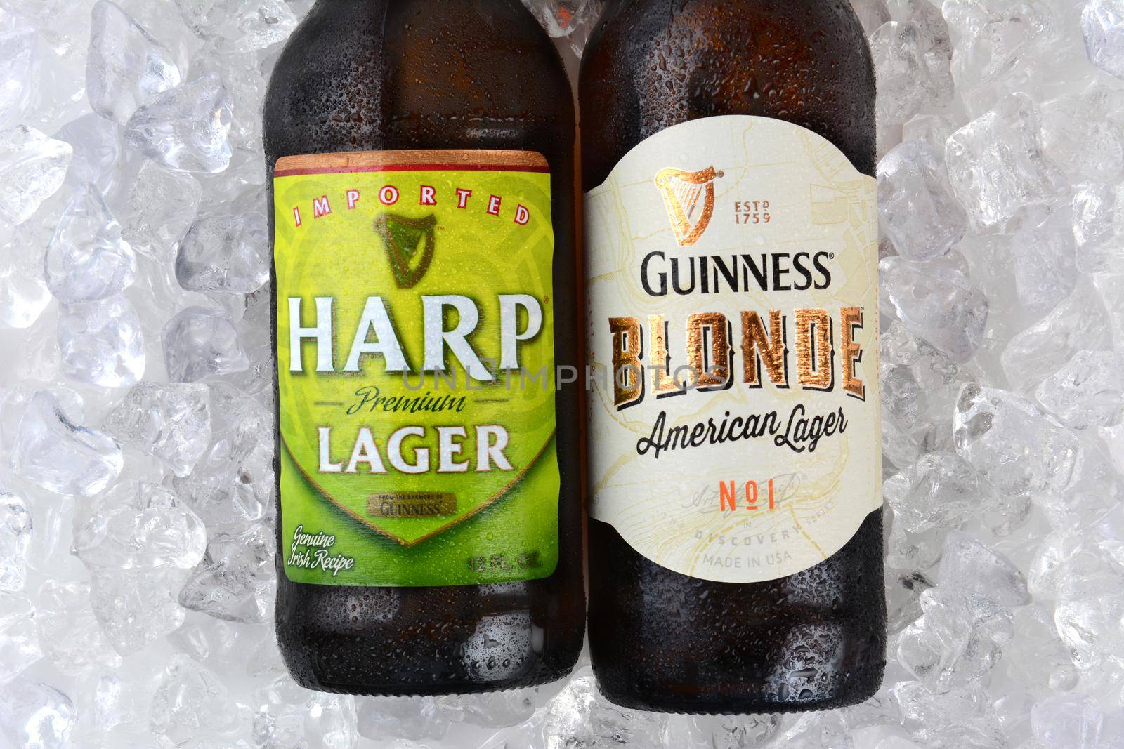 Harp and Guinness Blonde on Ice Closeup by sCukrov