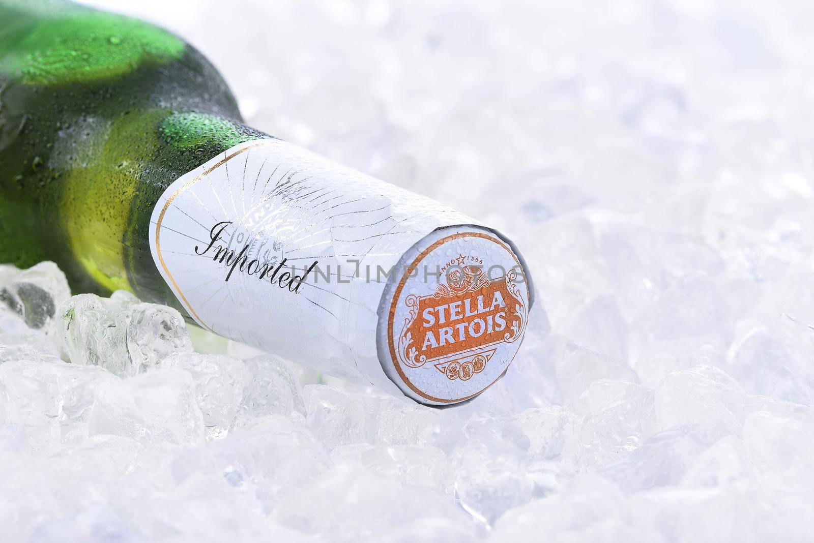 IRVINE, CA - AUGUST 26, 2016: A bottle of Stella Artois Beer closeup on Ice. Stella has been brewed in Leuven, Belgium, since 1926, and launched as a festive beer, named after the Christmas star.