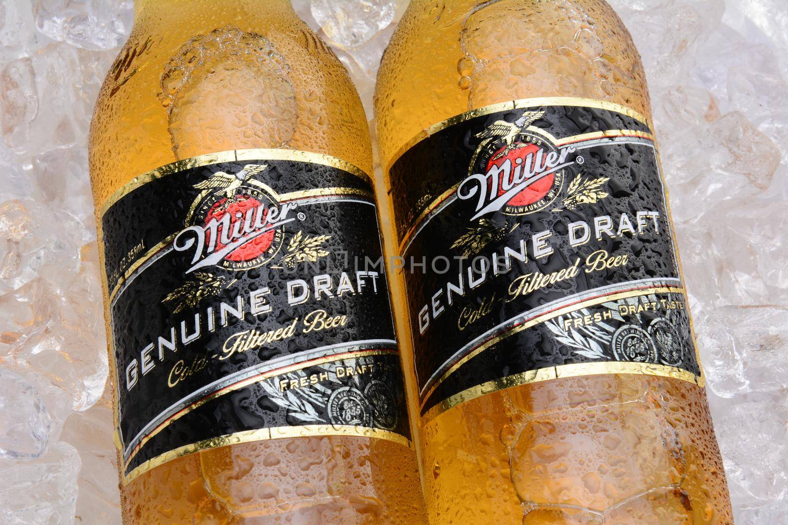IRVINE, CA - MAY 27, 2014: Two Bottles of Miller Genuine Draft, on ice. MGD is actually made from the same recipe as Miller High Life except it is cold filtered.
