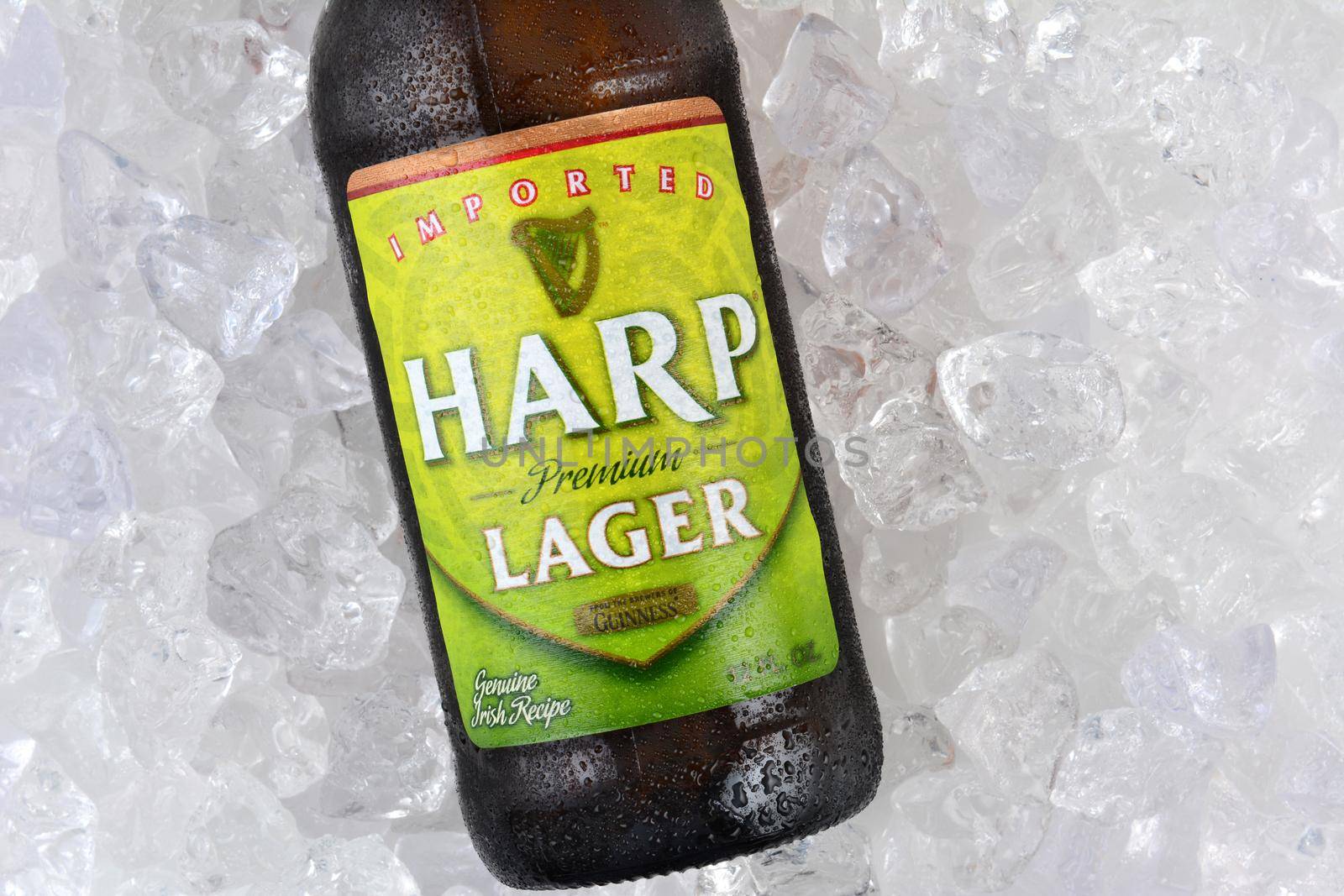 IRVINE, CA - JANUARY 11, 2015: Closeup of a single bottle of Harp Lager on a bed of ice. Harp is an Irish lager created in 1960 by the Guinness Brewing Co., brewed with pure water from the Cooley Mountains.