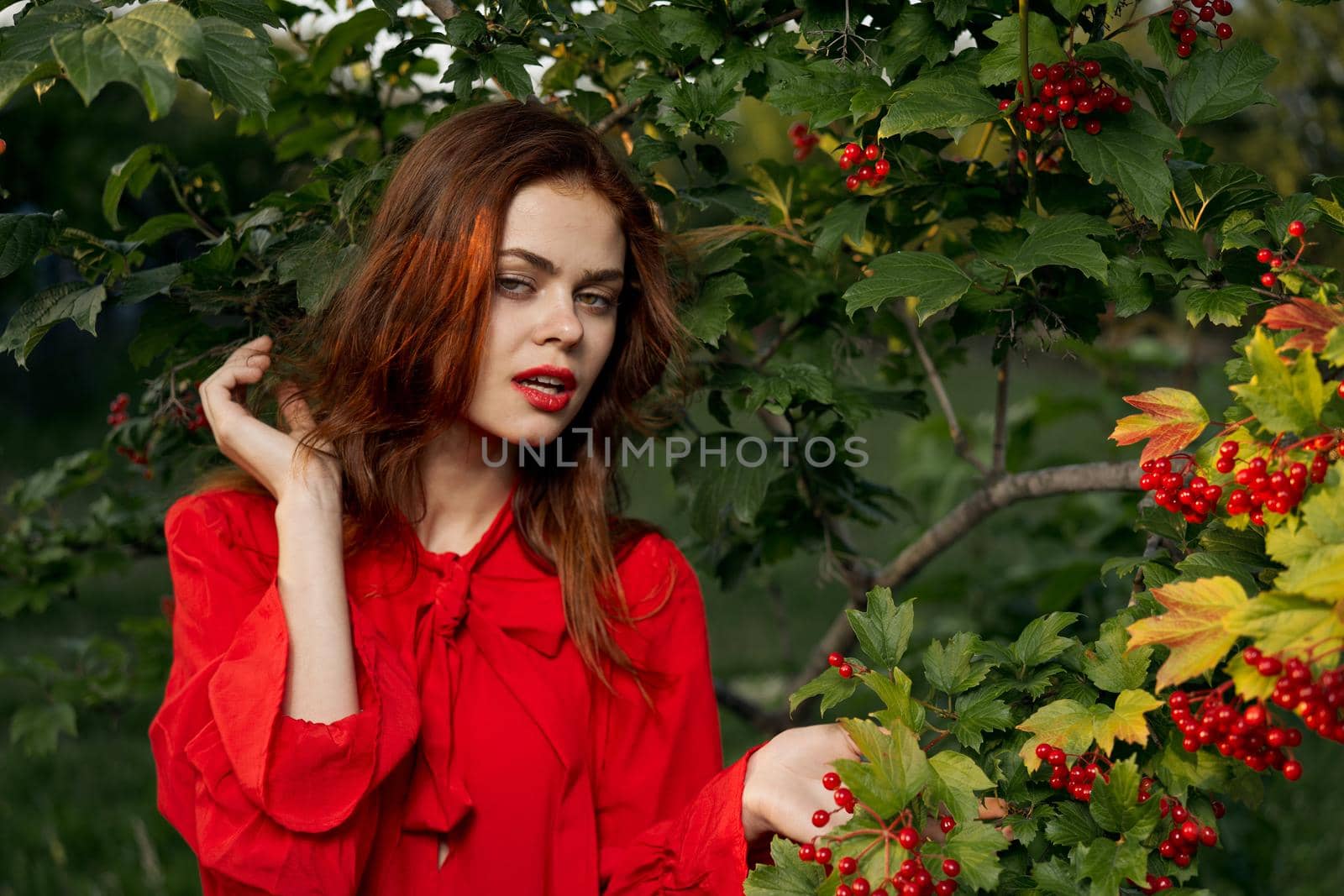 pretty woman in the summer outdoors near the bush. High quality photo