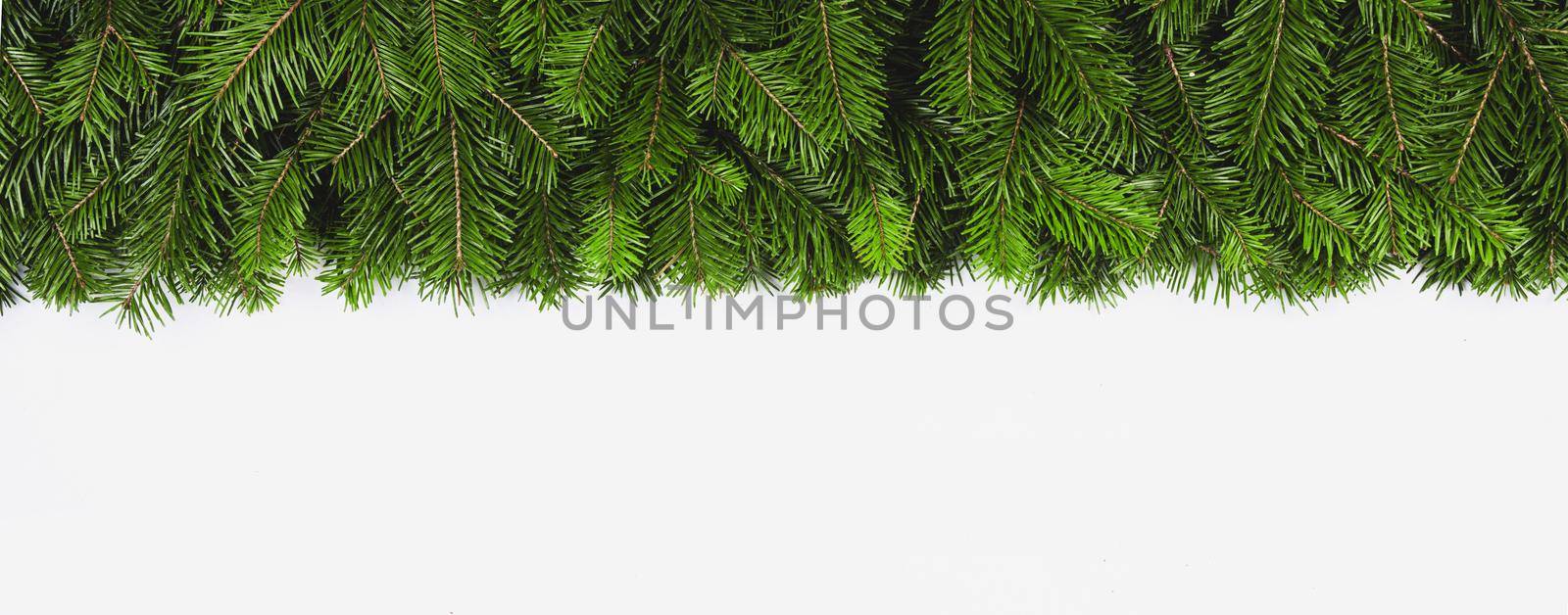Christmas green frame of spruce tree isolated on white background