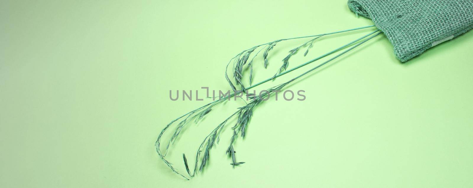 Dry spikelets and a linen bag lie on a green background, Abstract dry herbs for a stylish home decor. Close-up, flat apartment, top view, copy space.
