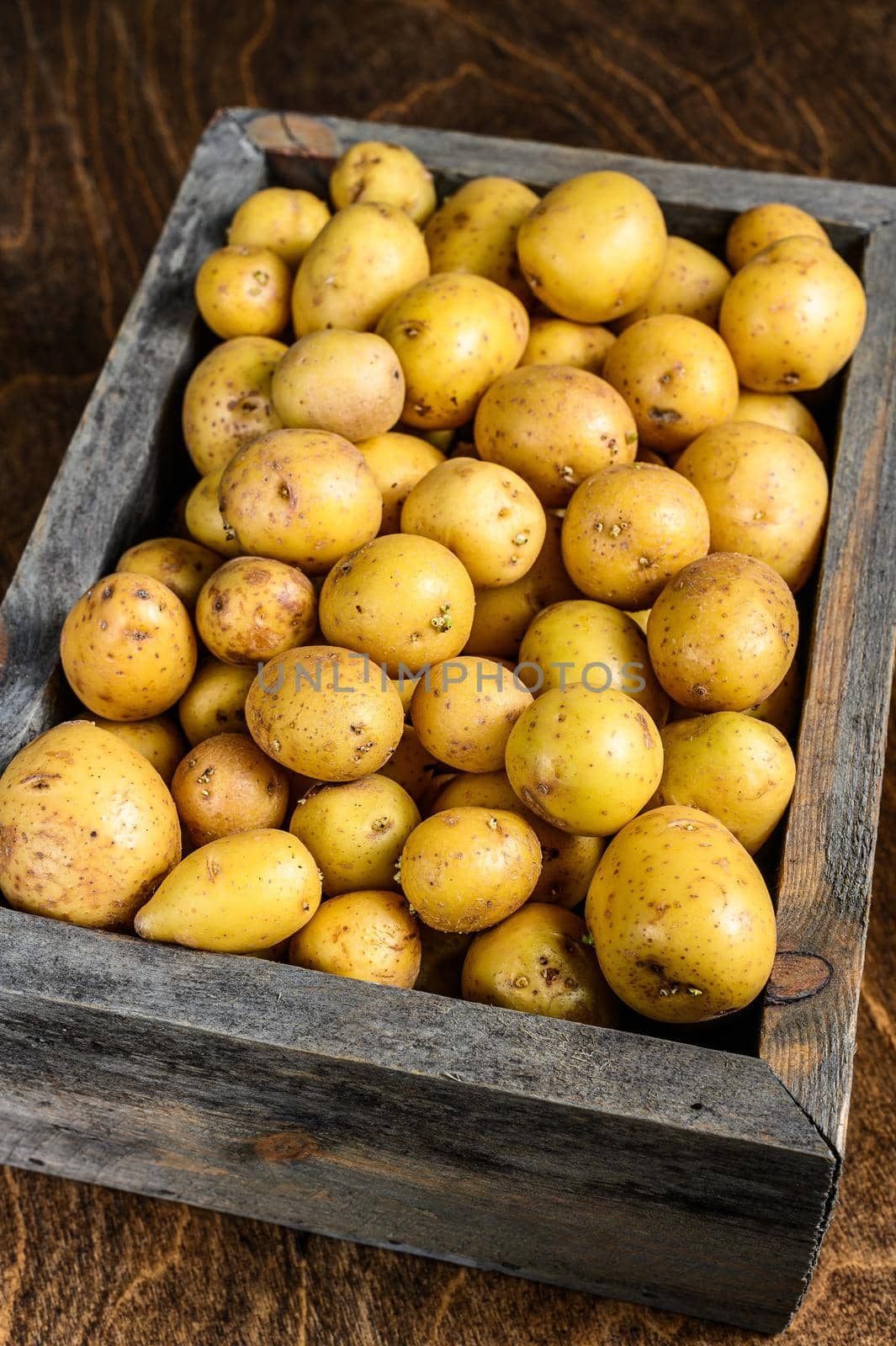 Young baby Potatoes in a wooden box. Wooden background. Top view by Composter