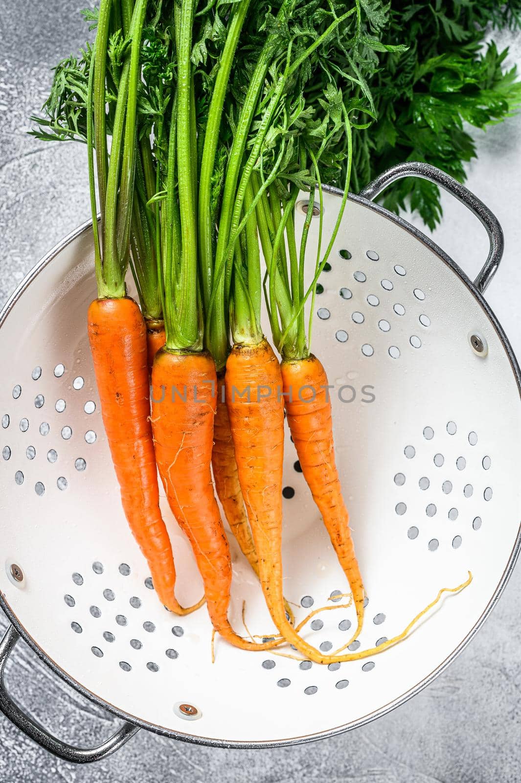 Washed fresh carrots in a colander. Gray background. Top view.