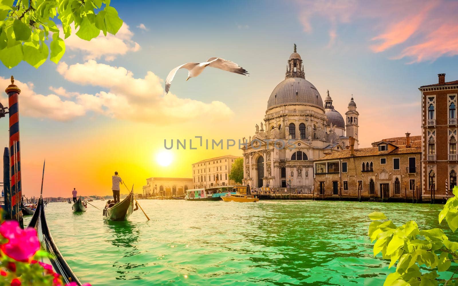 Gondolas along the Grand Canal in Venice, Italy