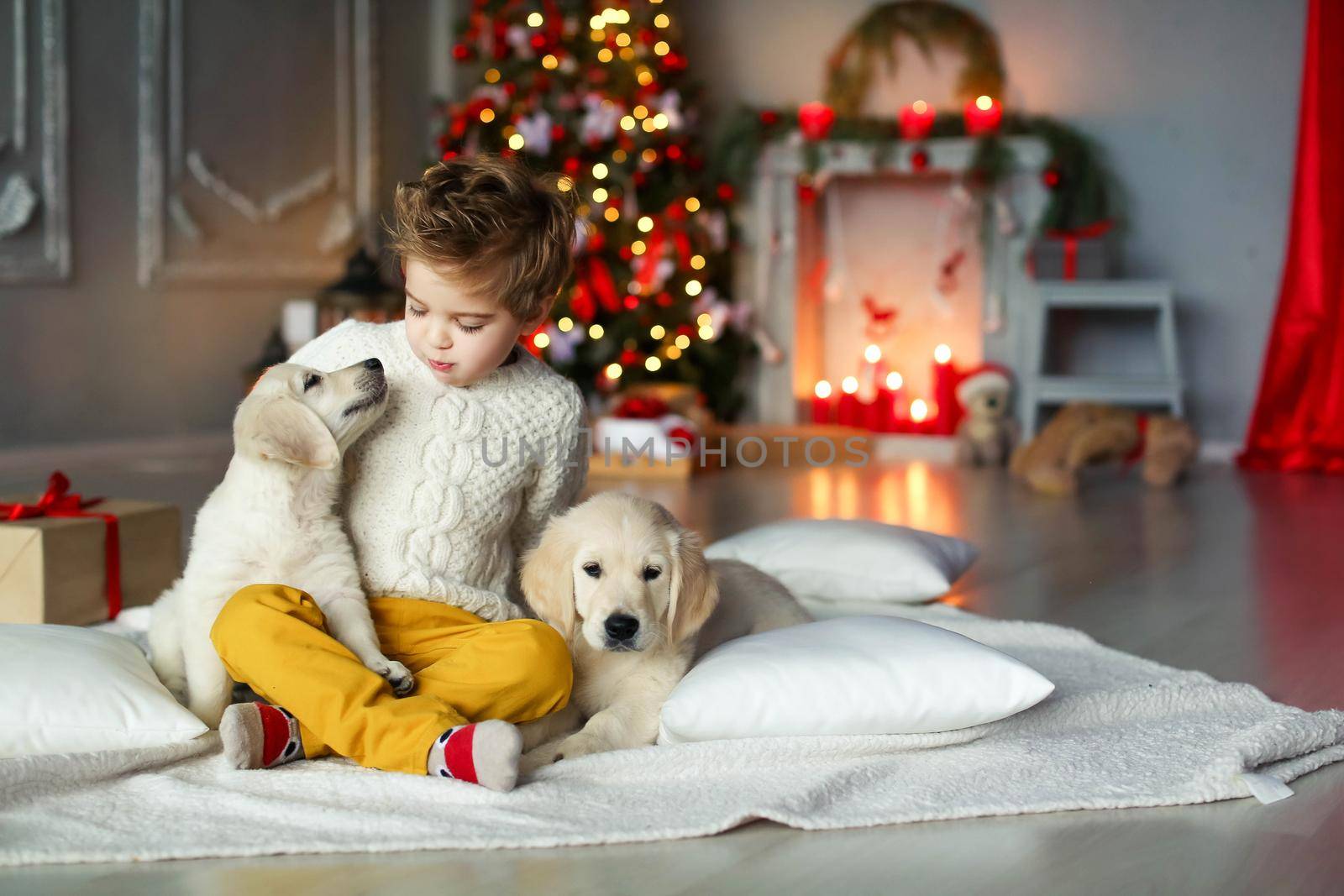 Cute baby with a white golden labrador on the background of Christmas decorations.