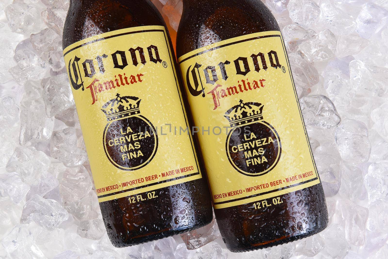 Two Corona Familiar beers on ice by sCukrov