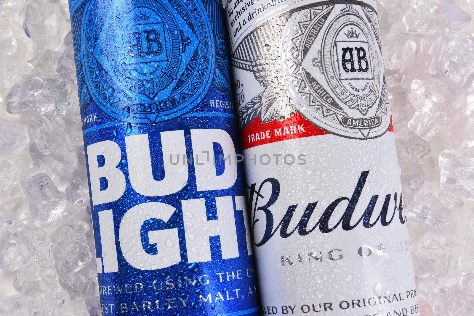 Budweiser and Bud Light King Cans on ice by sCukrov