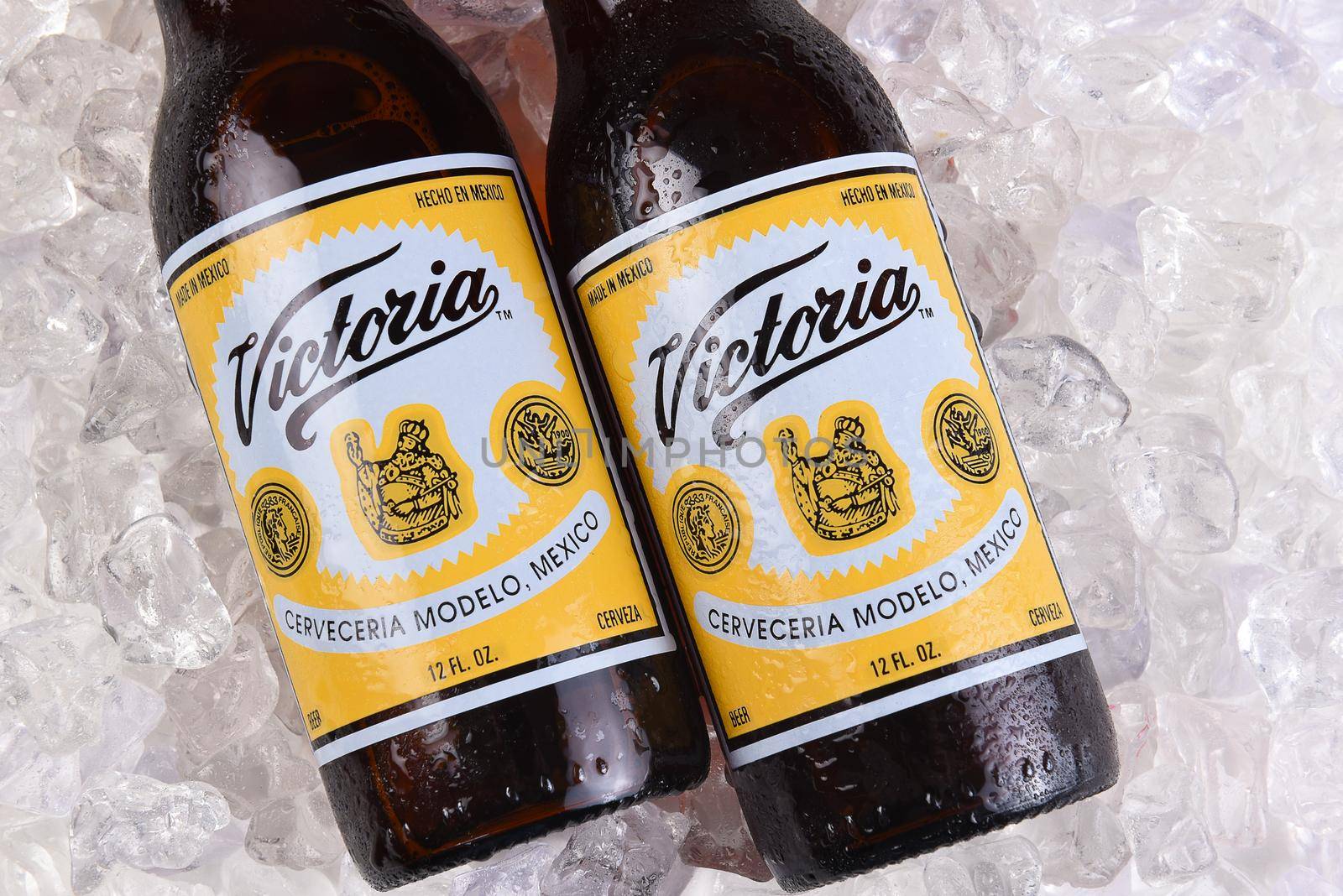 Two Victoria Beer bottles on ice by sCukrov