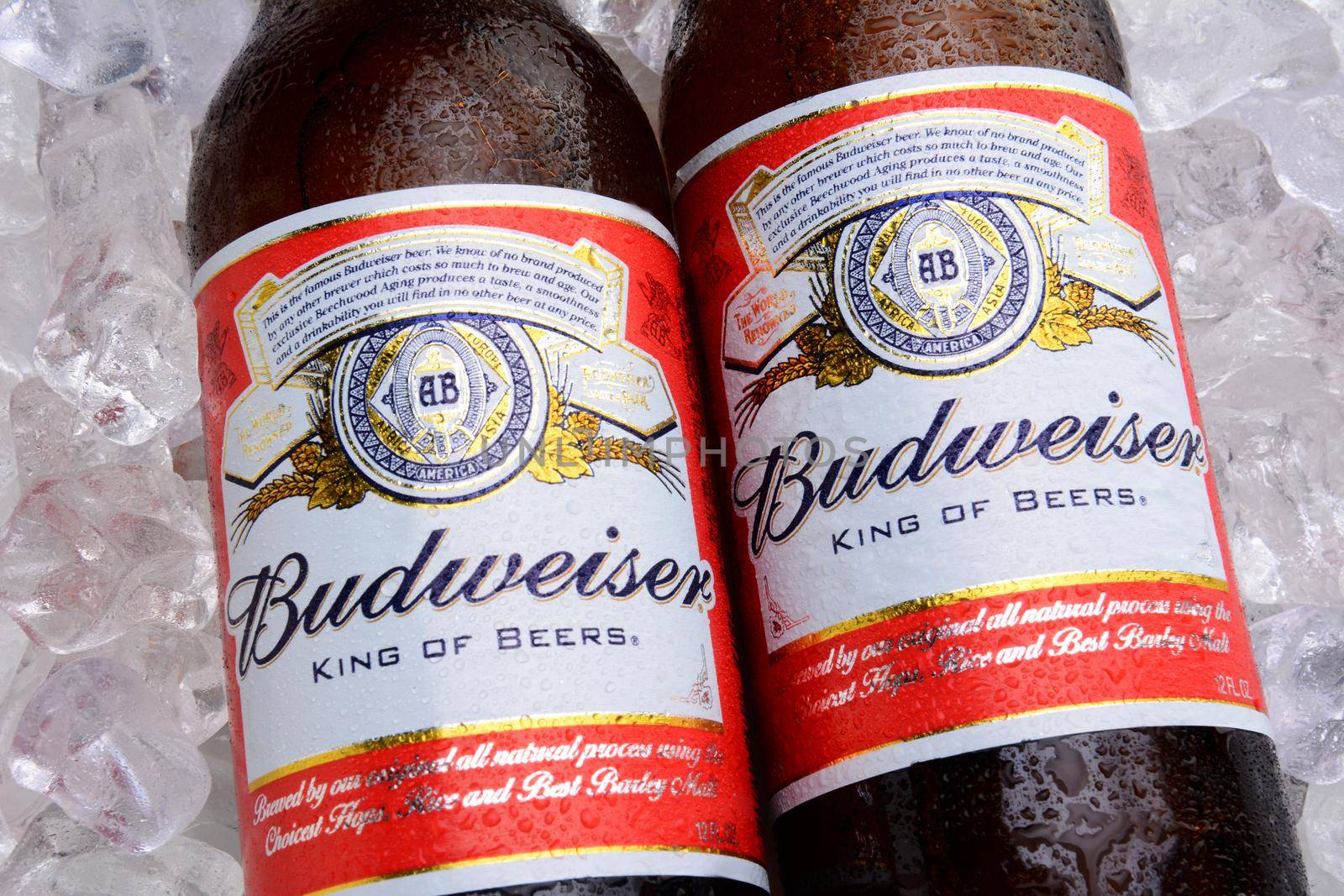 Budweiser Bottles on Ice by sCukrov