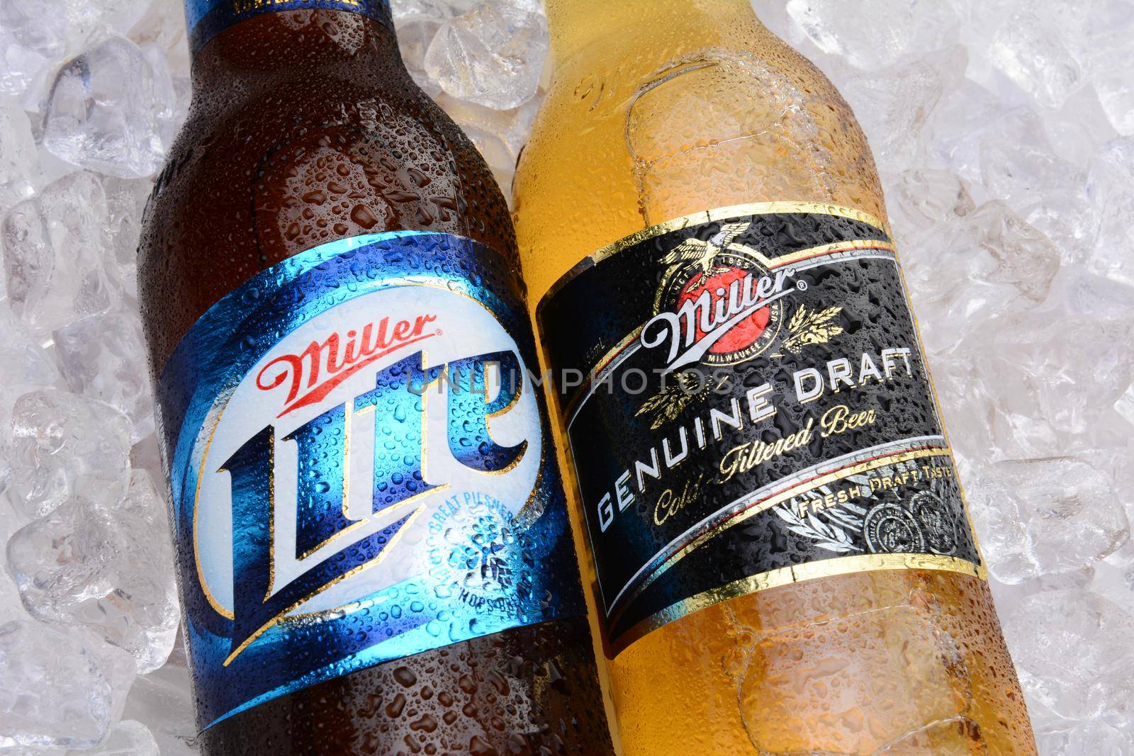 MIller Lite and MGD on a Bed of Ice by sCukrov