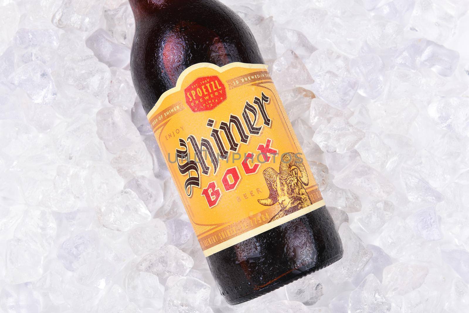 IRVINE, CA - AUGUST 26, 2016: Shiner Bock Beer. A single bottle of Shine Bock beer from the Spoetzl Brewery in Shiner, Texas. Founded in 1909 by German and Czech immigrants.