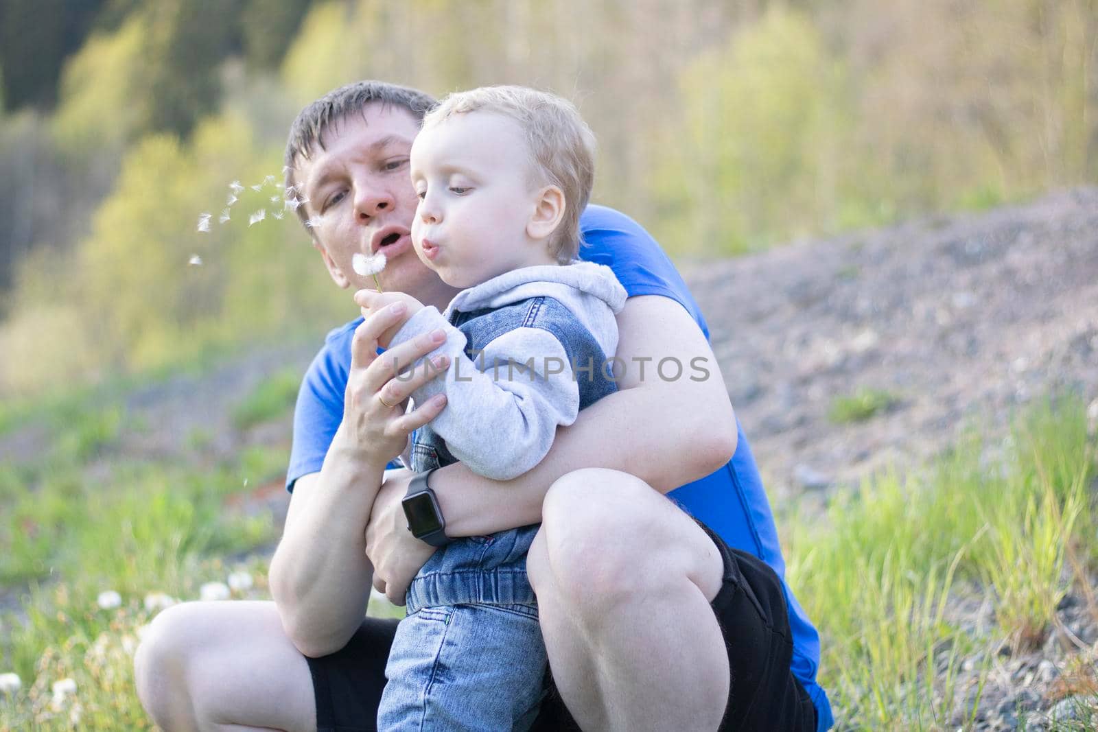 Father and little child are blowing into a white dandelion flower. Close-up