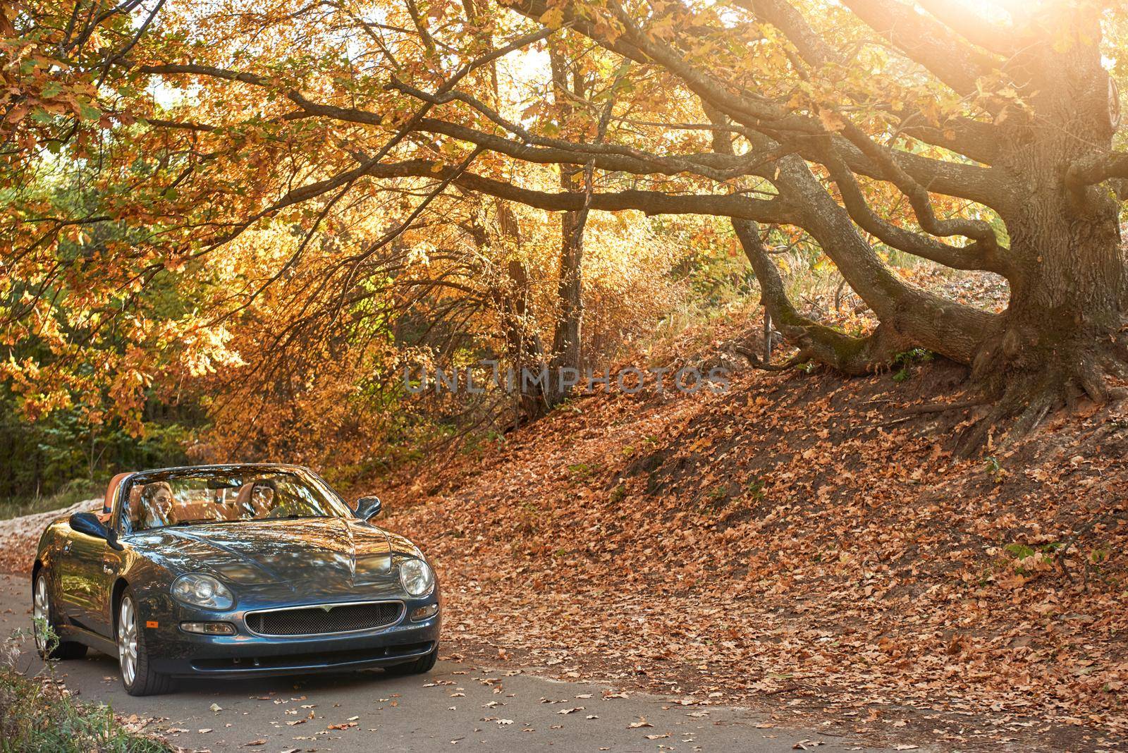 A black roofless car driving fast on the countryside asphalt road against morning sky with a beautiful sunrise. Autumn season, falling leaves