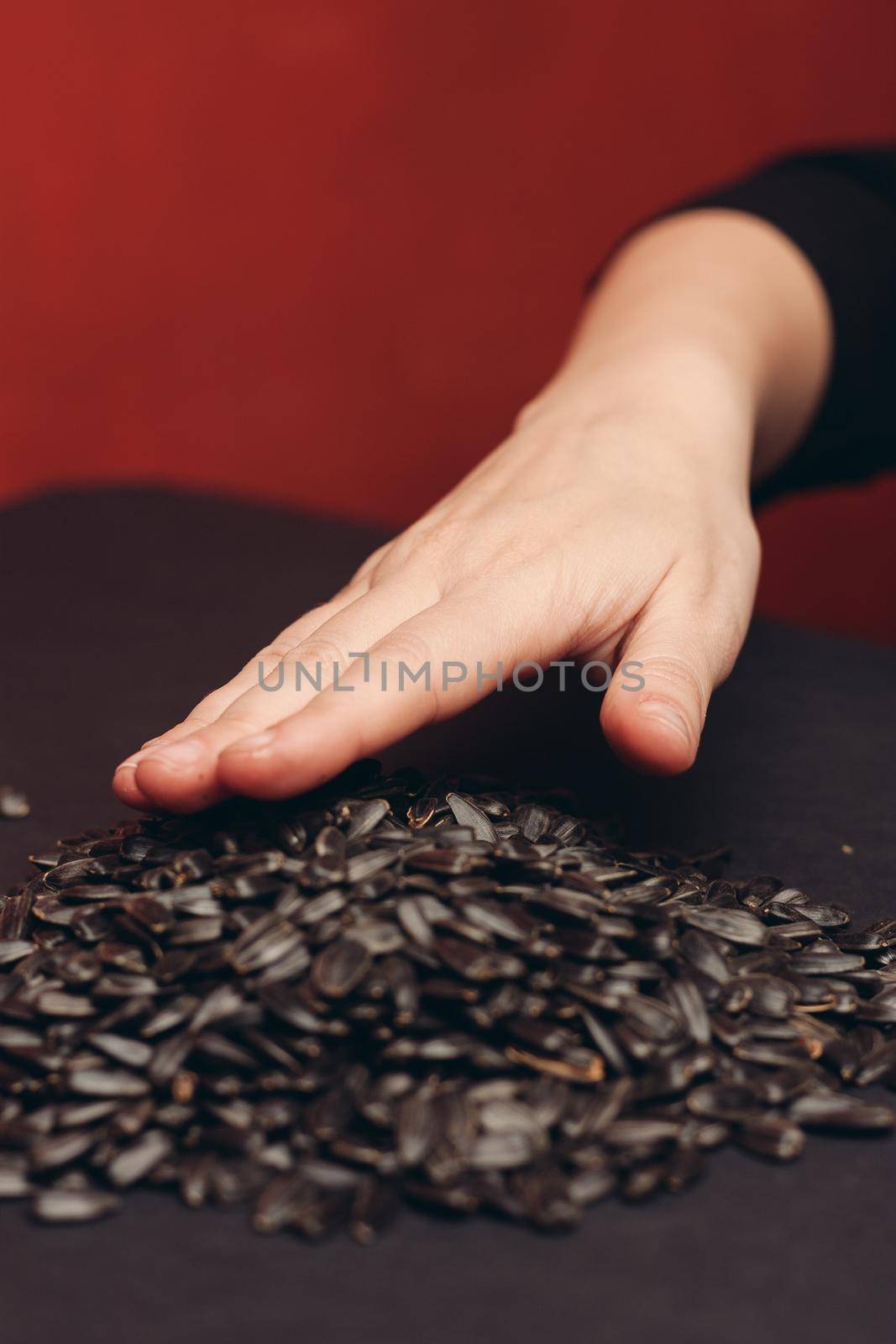 natural product sunflower seeds handing close-up food by Vichizh