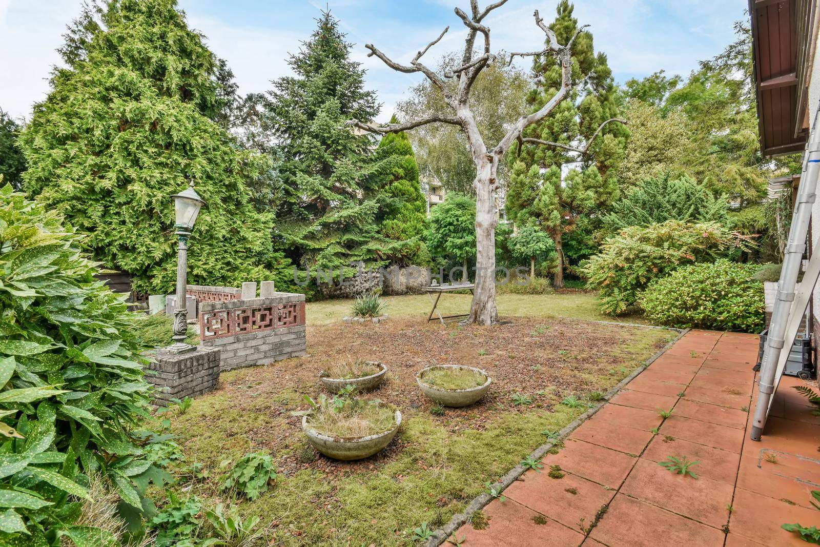 Beautiful courtyard with garden and fresh lawn