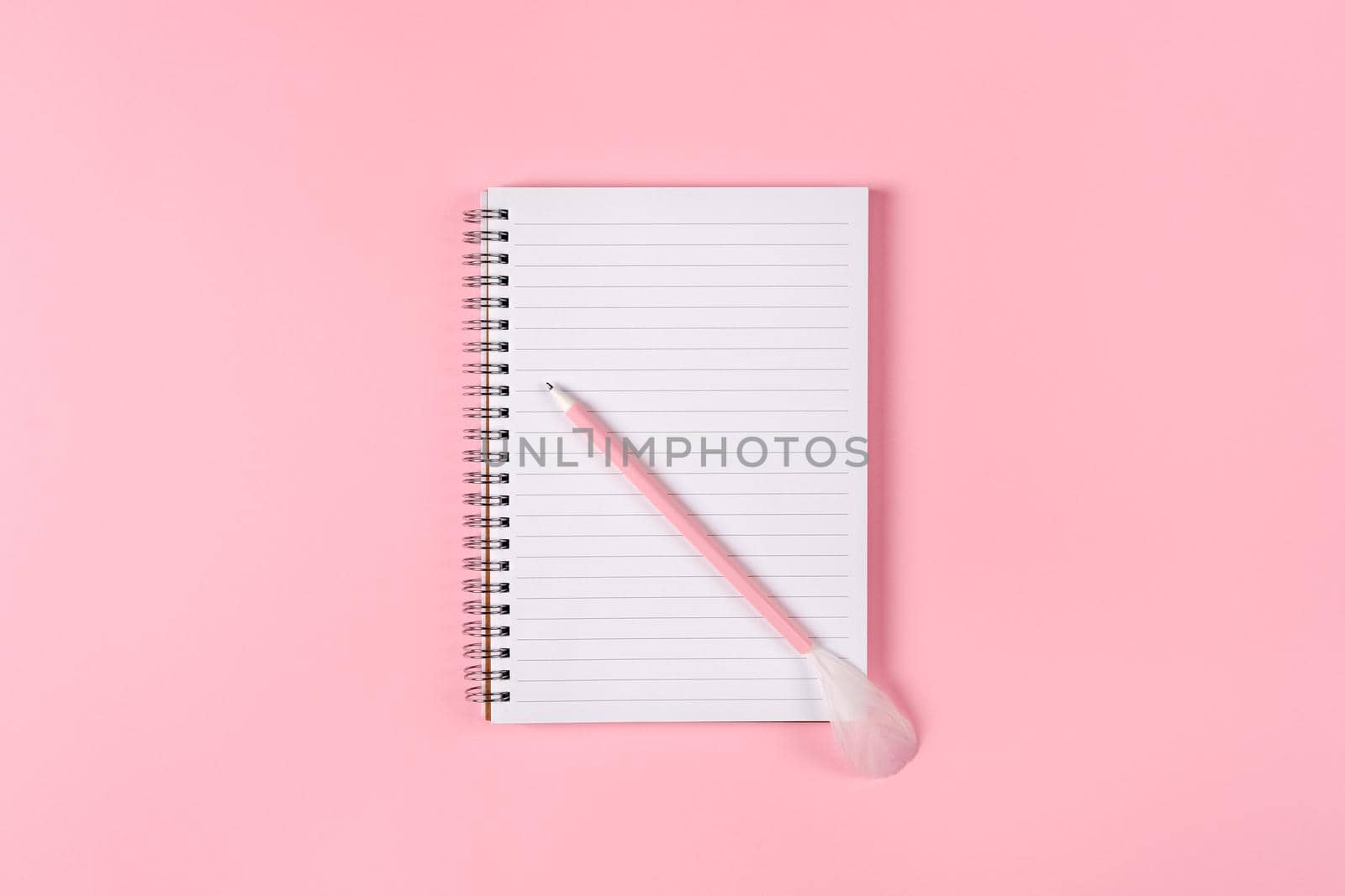 Notepad and pink pen decorated with feather on pink background. Woman power concept.