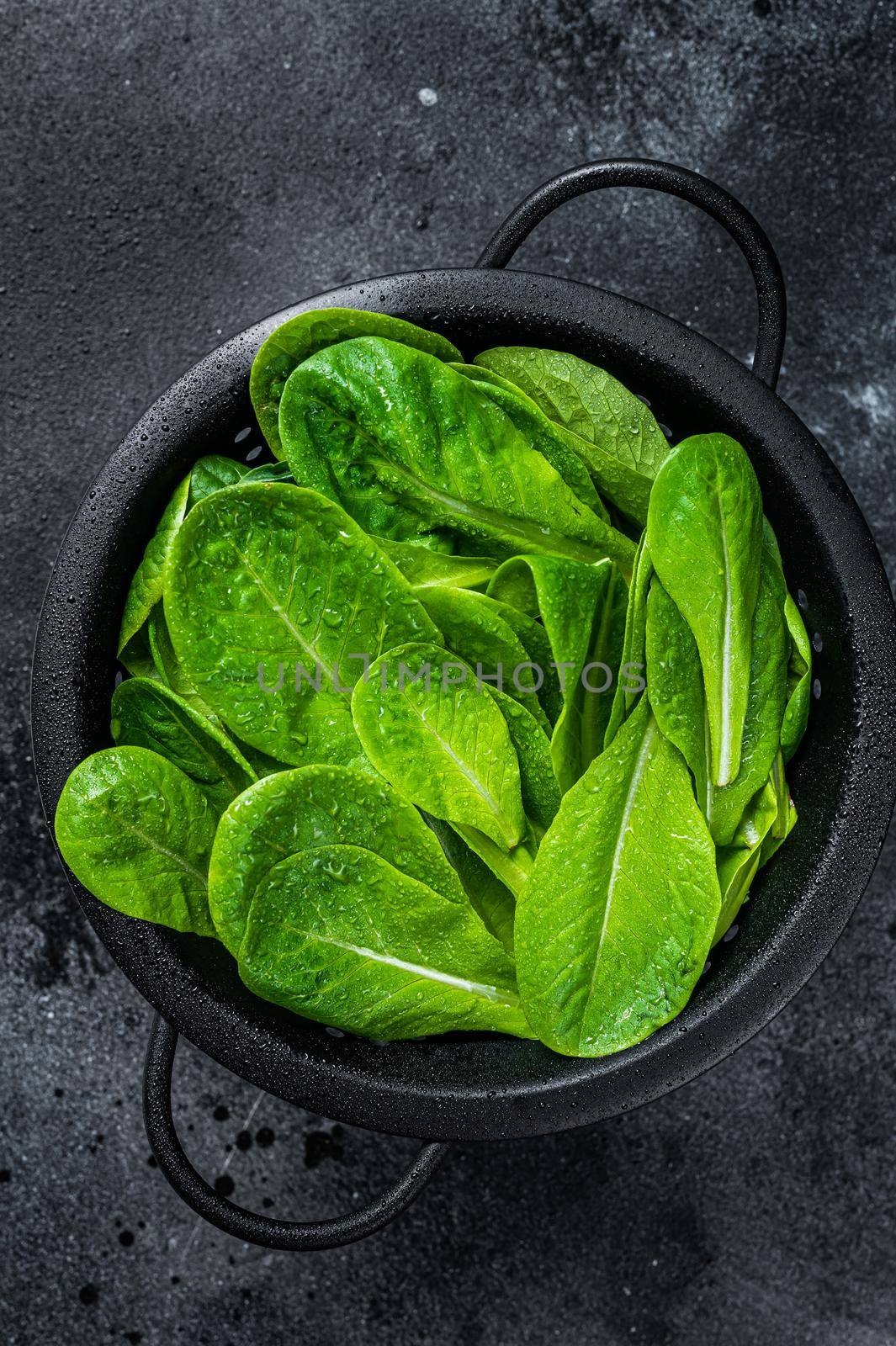 Raw leaves of romaine lettuce in colander. Black background. Top view by Composter