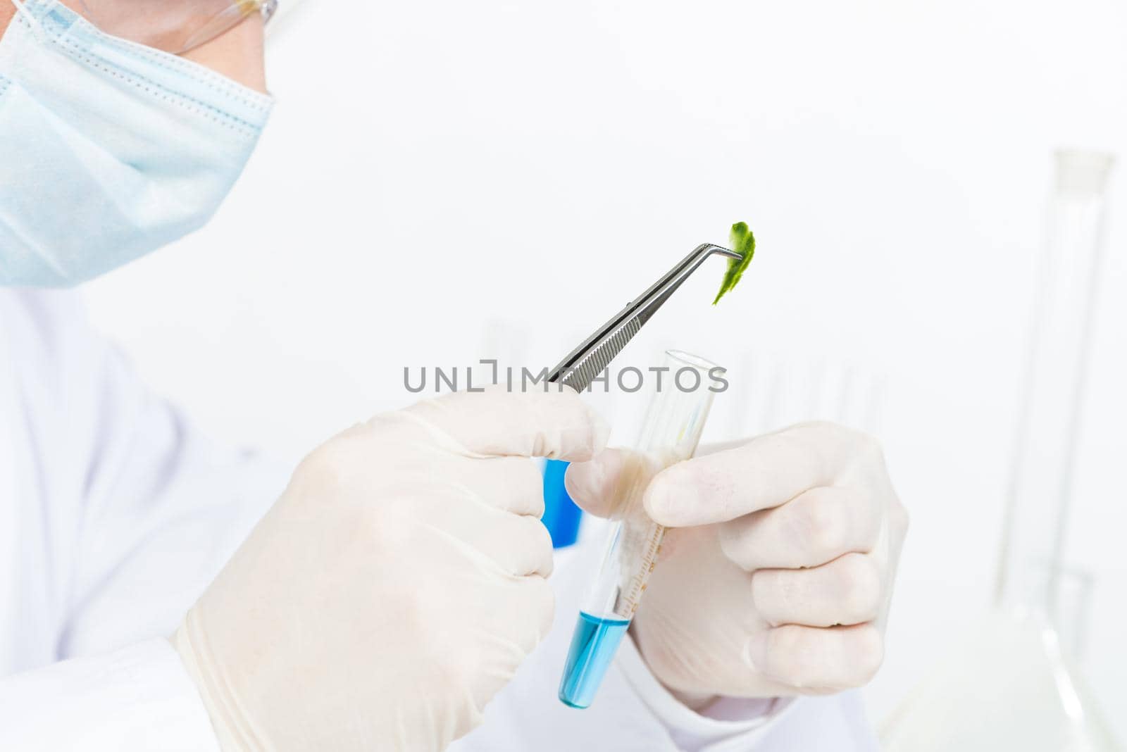 Scientist puts sample into test tube. Biochemistry laboratory analysis and experimentation. Closeup human hands in latex gloves holding test tube and tweezers. Biology researching and lab testing.