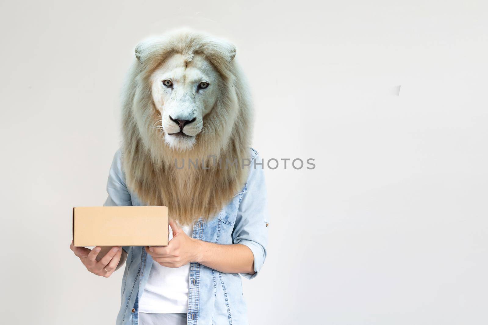 man with head of lion holding delivery boxes on white background