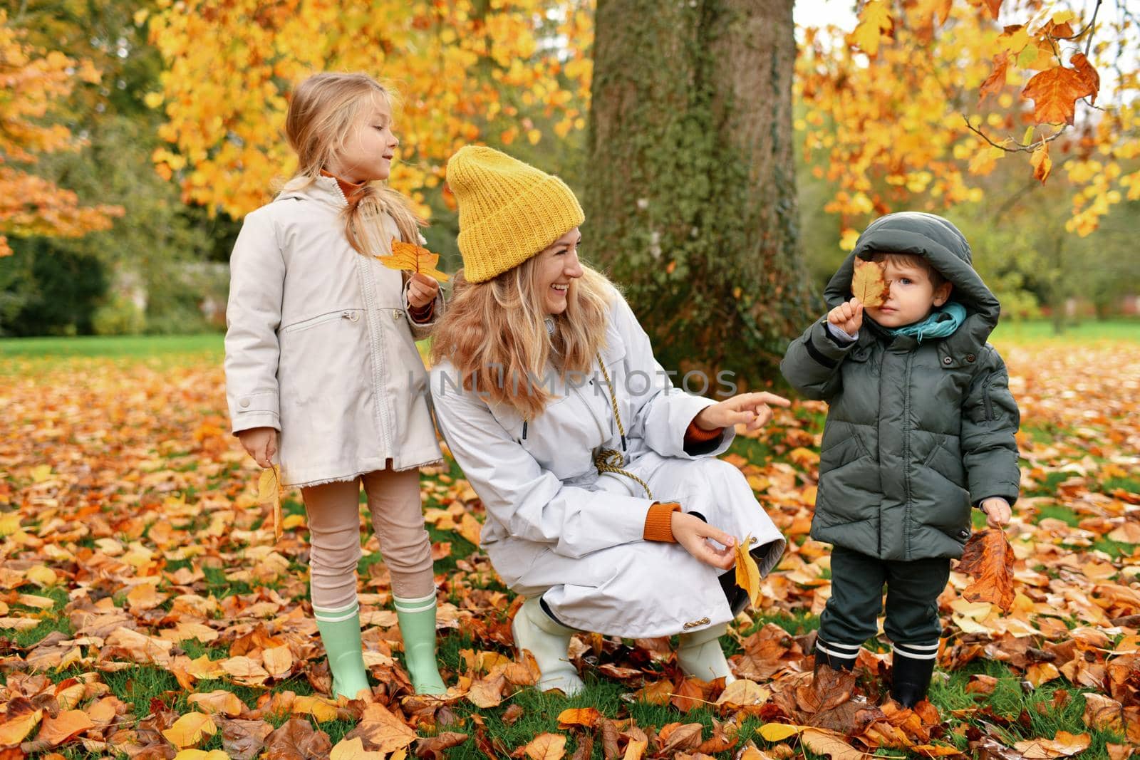 Kids and mother play in the autumn park by Godi
