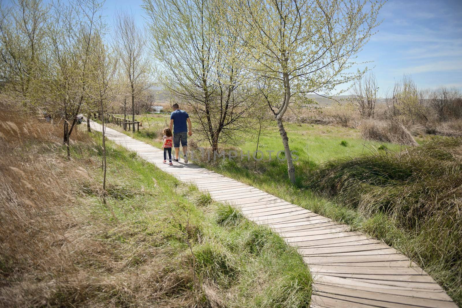Father and little daughter walking on a path of wooden boards in a wetland in Padul, Granada, Andalusia, Spain