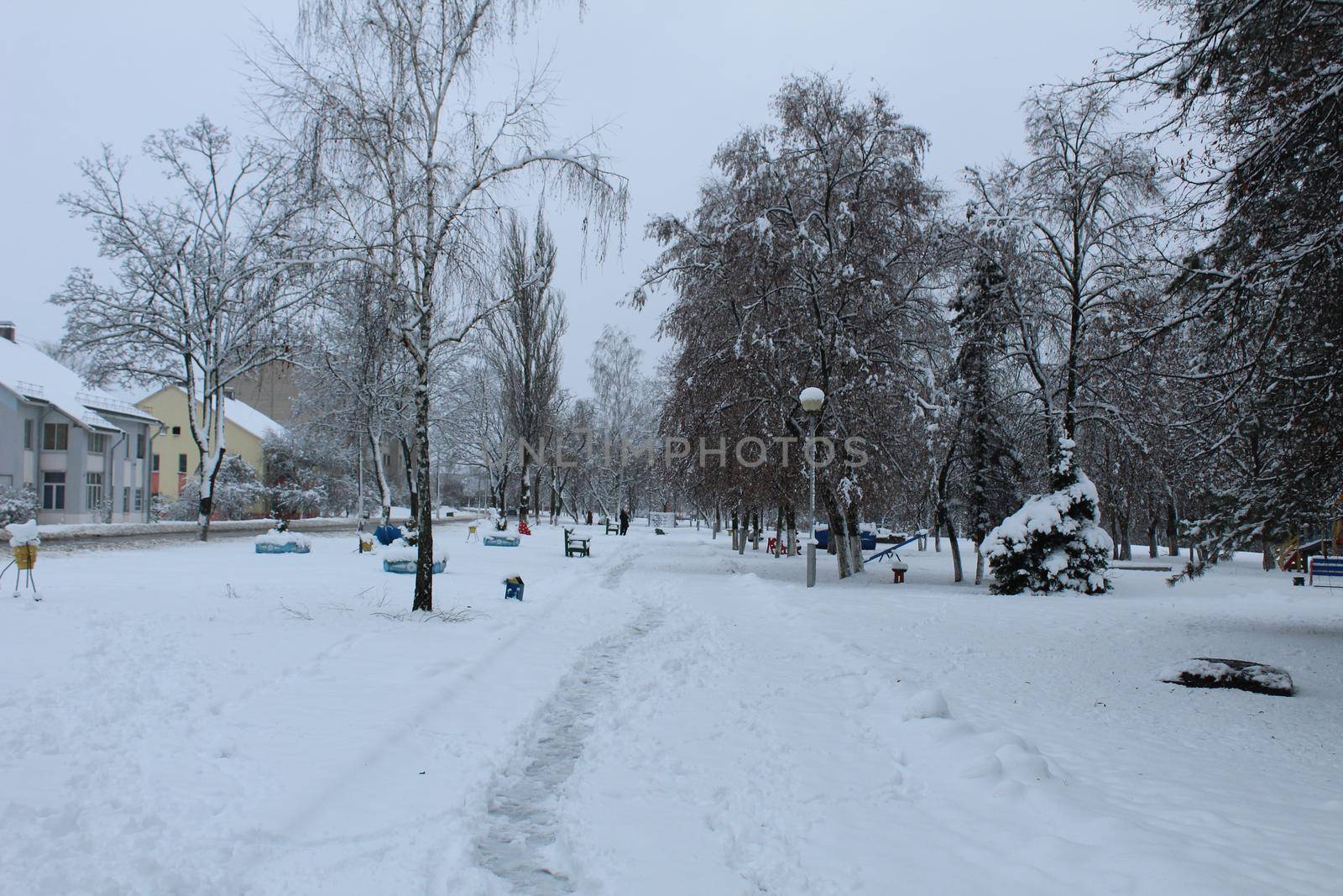 city park in winter. Paths bench trees ate Christmas trees in the winter in the snow. winter walks.