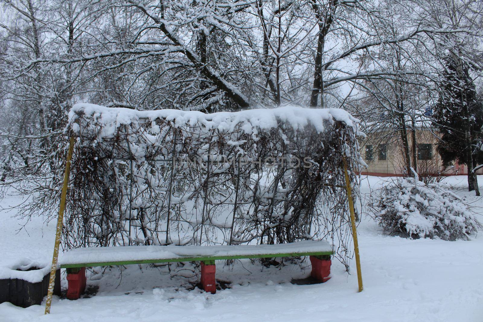 city park in winter. Paths bench trees ate Christmas trees in the winter in the snow. winter walks.