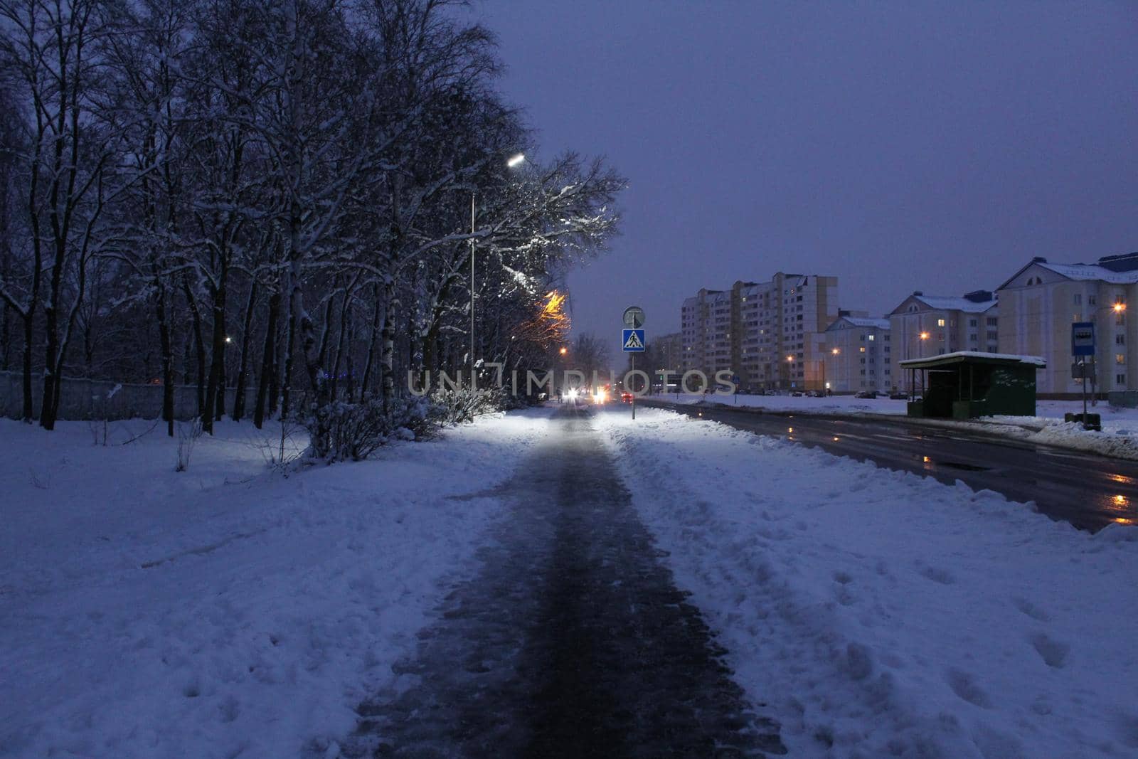 night landscape in winter city in the evening in the snow near the alley of trees lights of houses and lanterns.