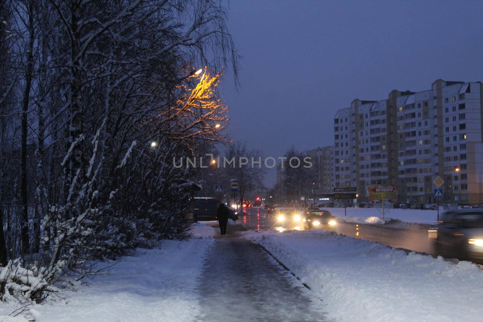 night landscape in winter city in the evening in the snow near the alley of trees lights of houses and lanterns.
